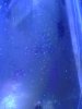 20140814_120749.jpg