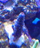IMG_20150120_234539_edit_edit1.jpg