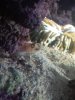 IMG_20171021_083036.jpg