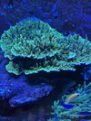 IMG_4144.jpeg