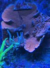 IMG_4150.jpeg