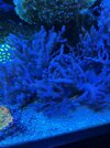 IMG_4149.jpeg