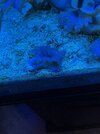 IMG_4145.jpeg
