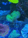 IMG_4147.jpeg