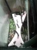 20150709_195343.jpg