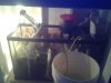 20151013_180214.jpg