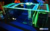synergy-reef-fluorescent-sump-5.jpg