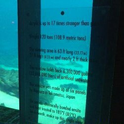 1478119047109.jpg