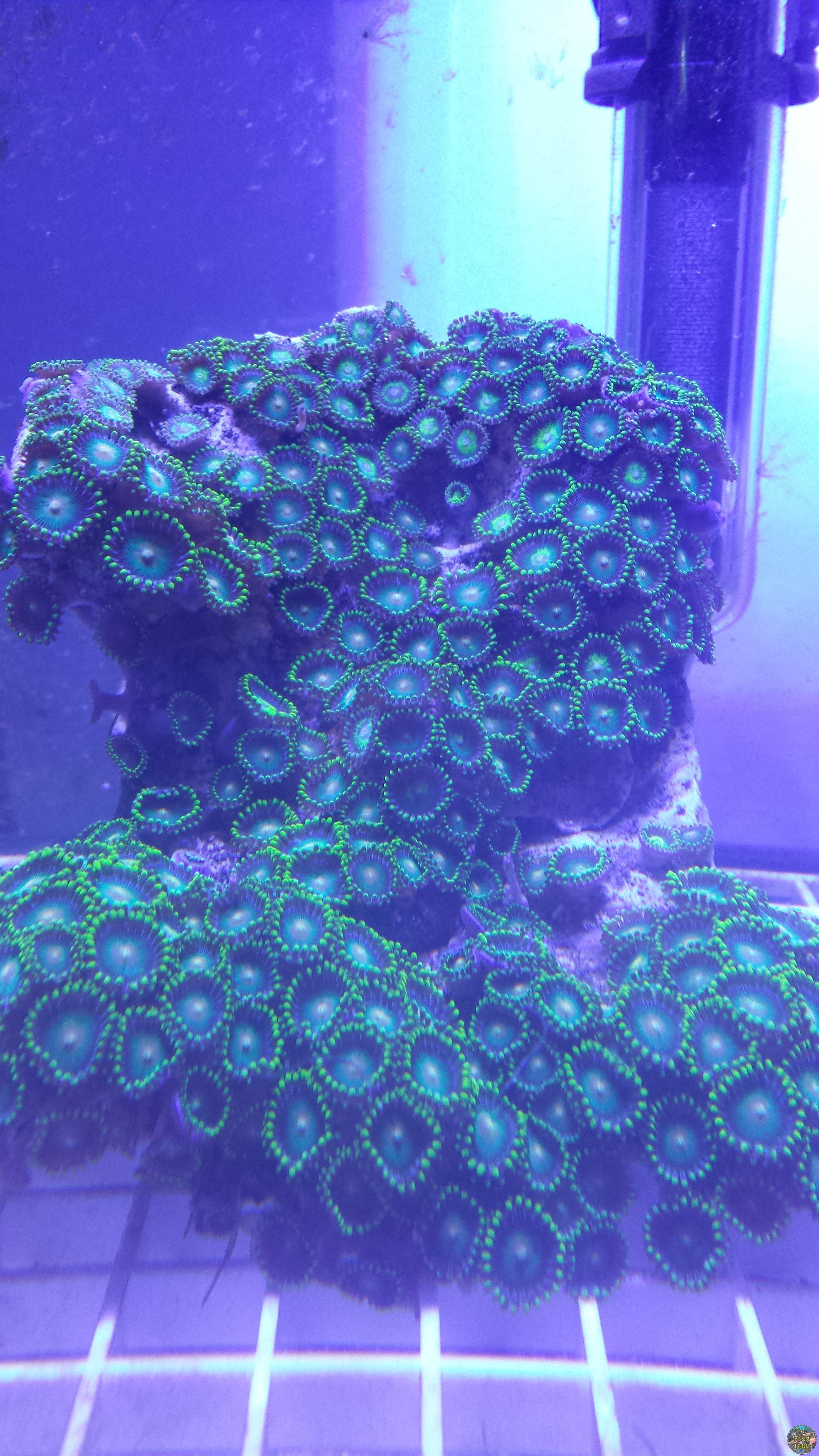 20151227_173335.jpg