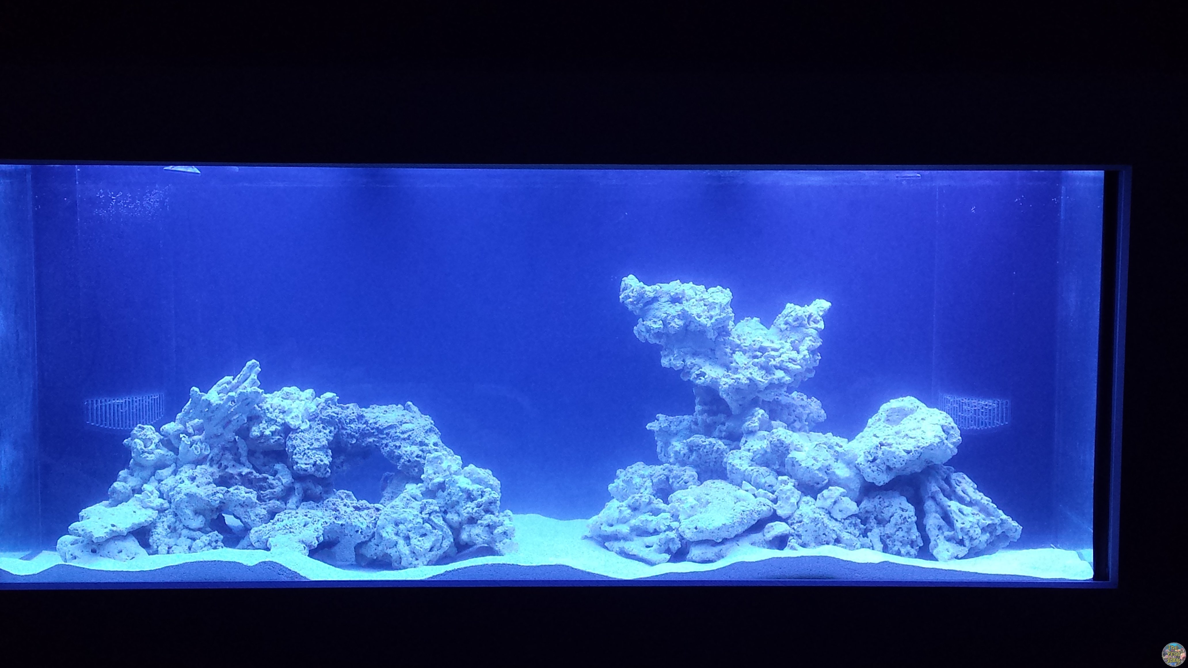 20160202_002942.jpg