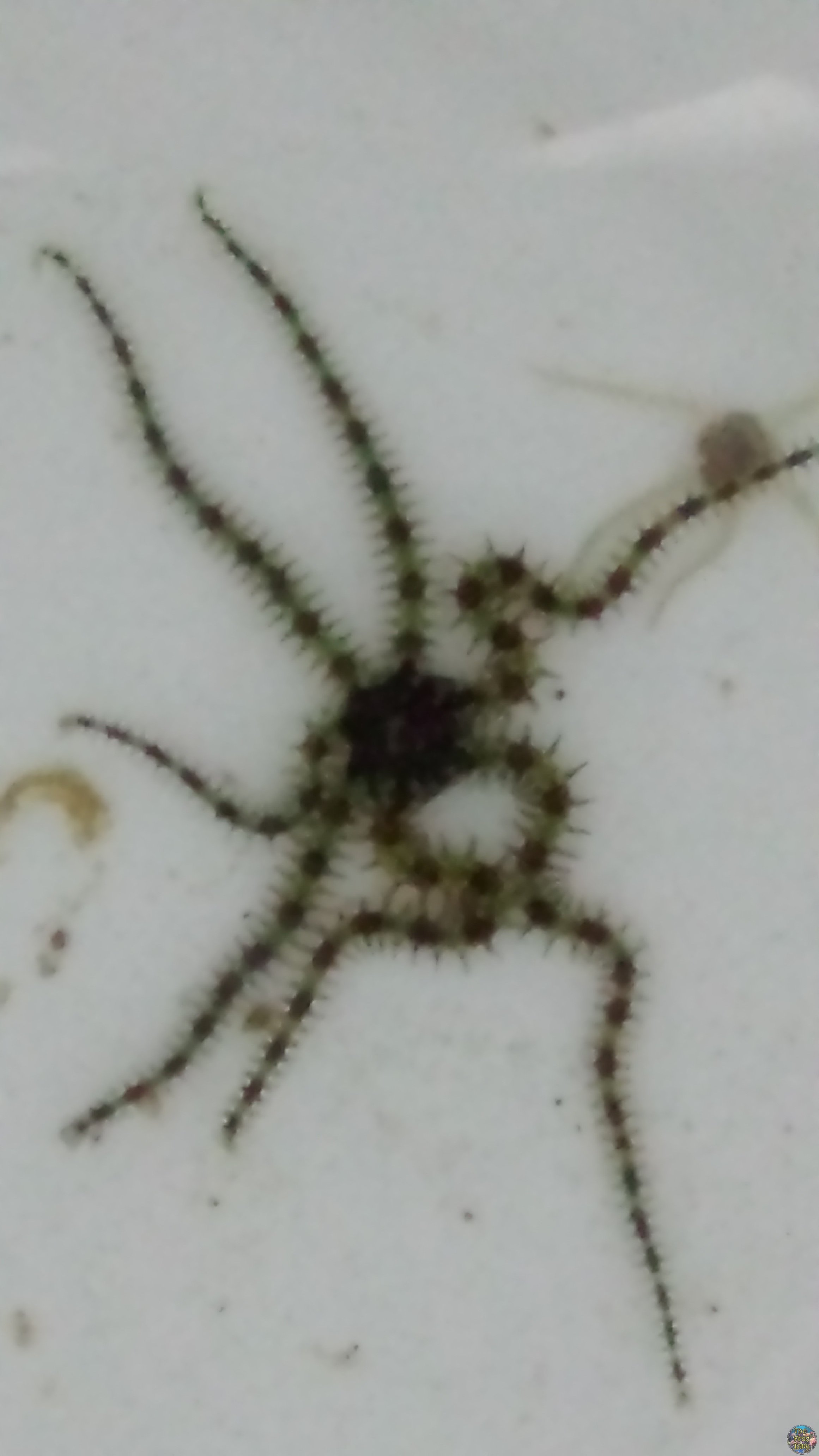 20160407_011241.jpg
