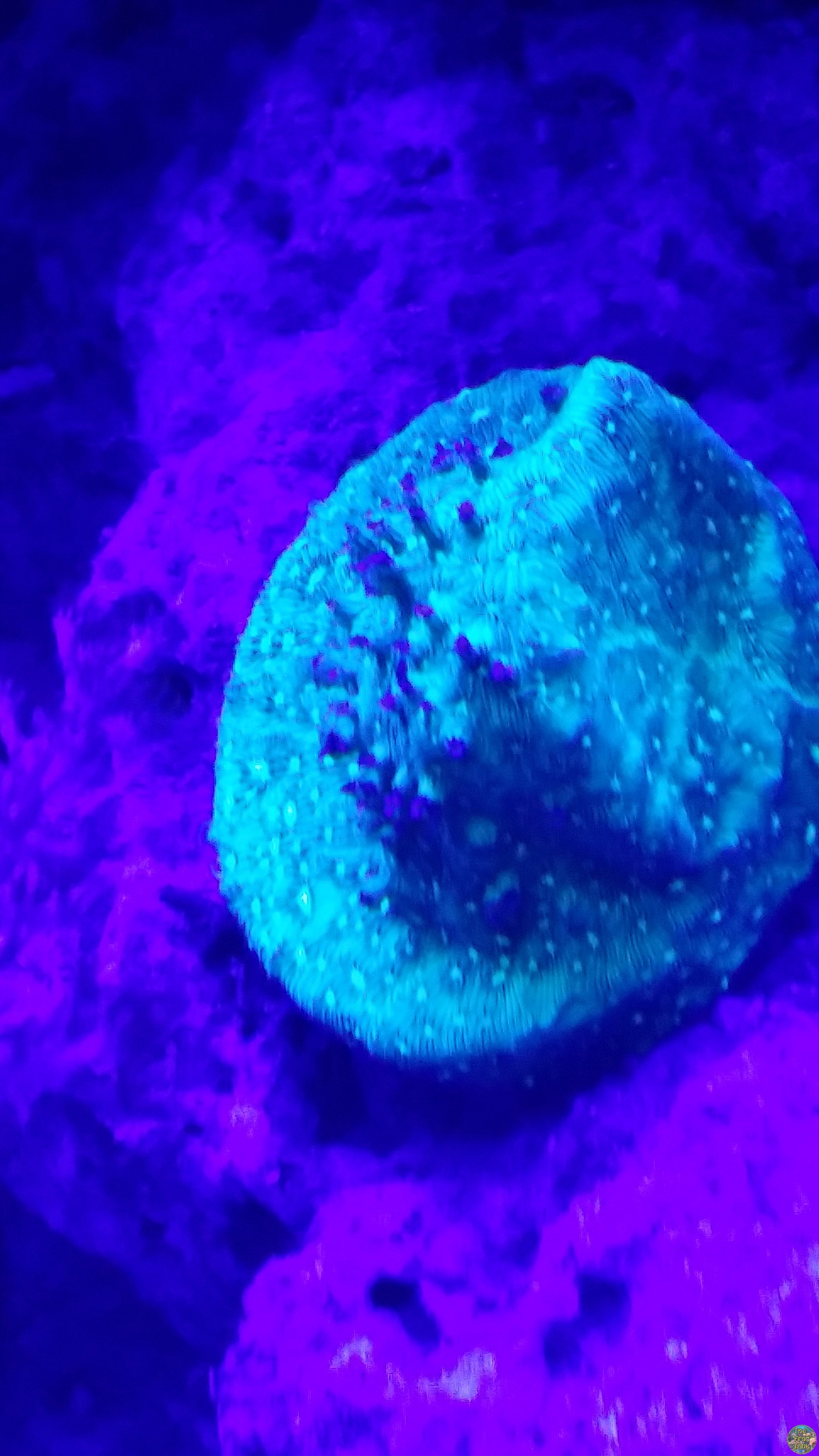 20160501_224018.jpg