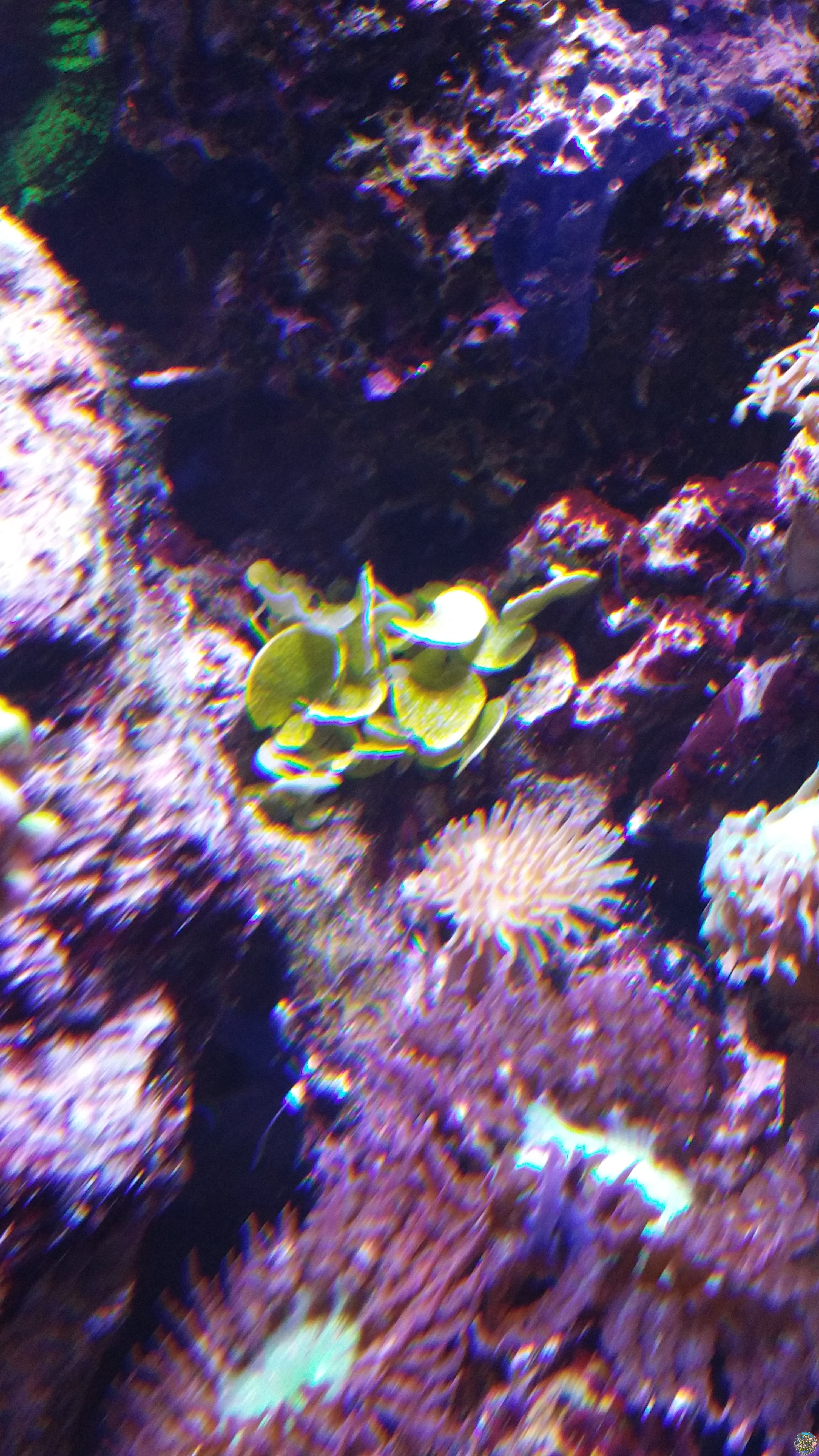 20160530_192911.jpg