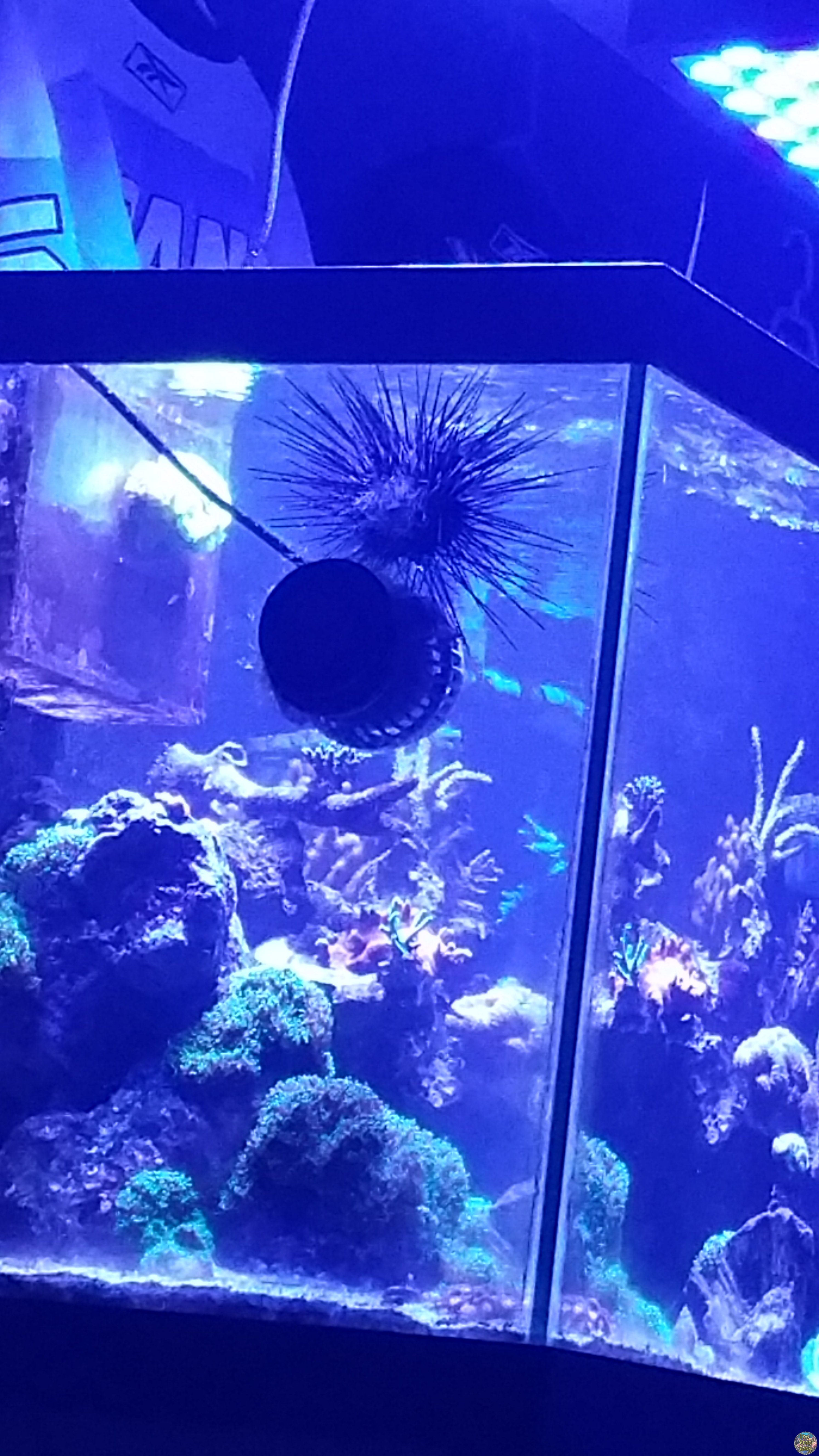 20160612_213523.jpg