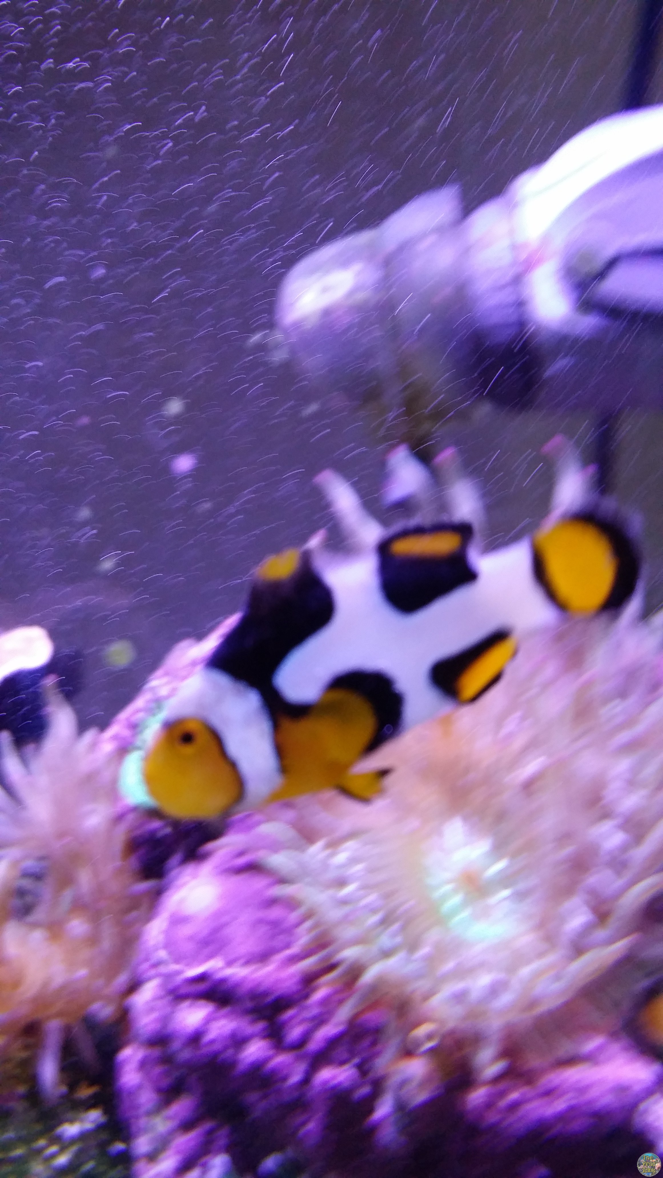 20160625_153411.jpg