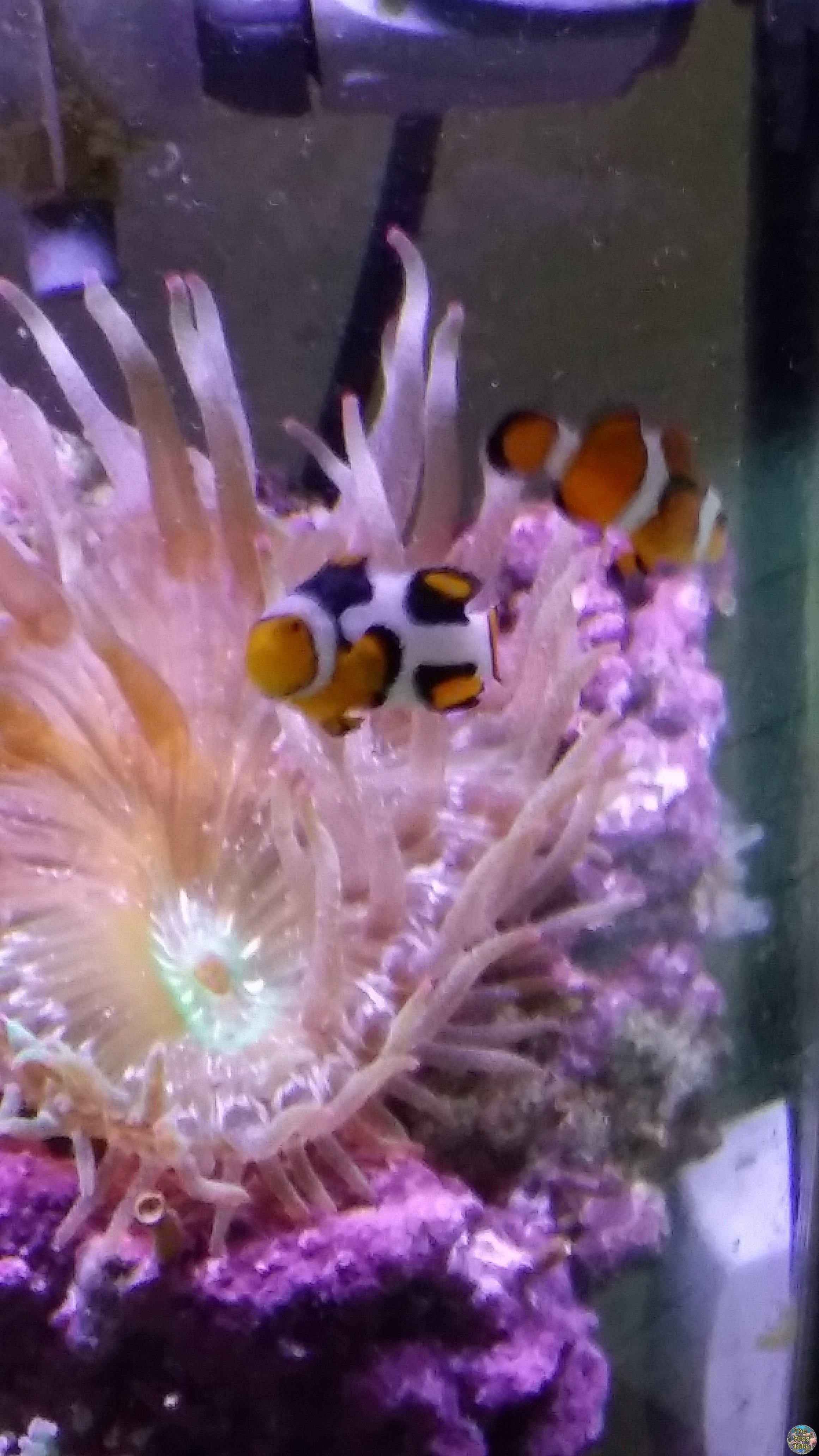 20160625_155044.jpg