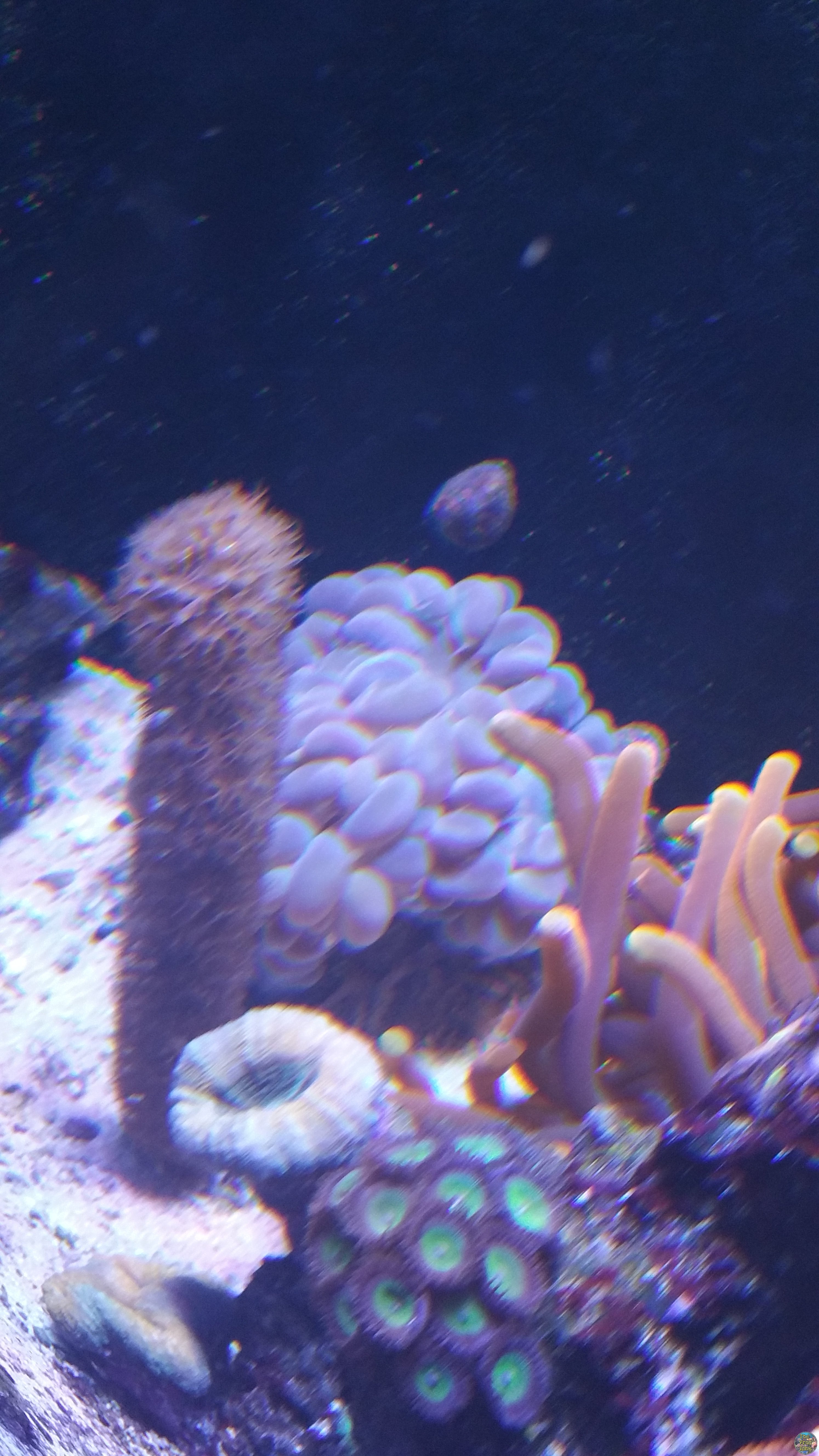 20160713_194535.jpg
