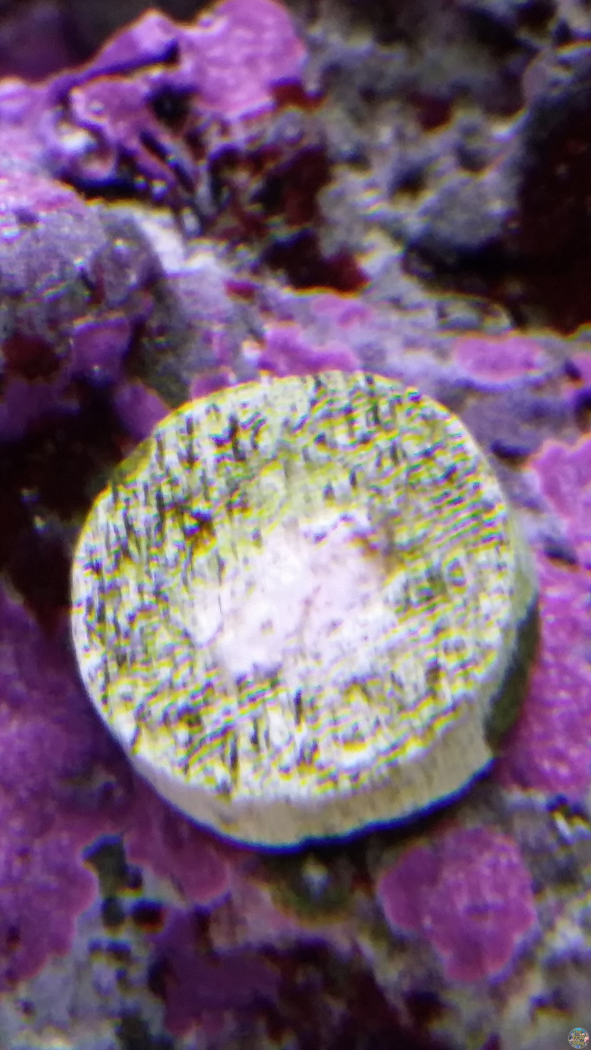 20160816_192153.jpg