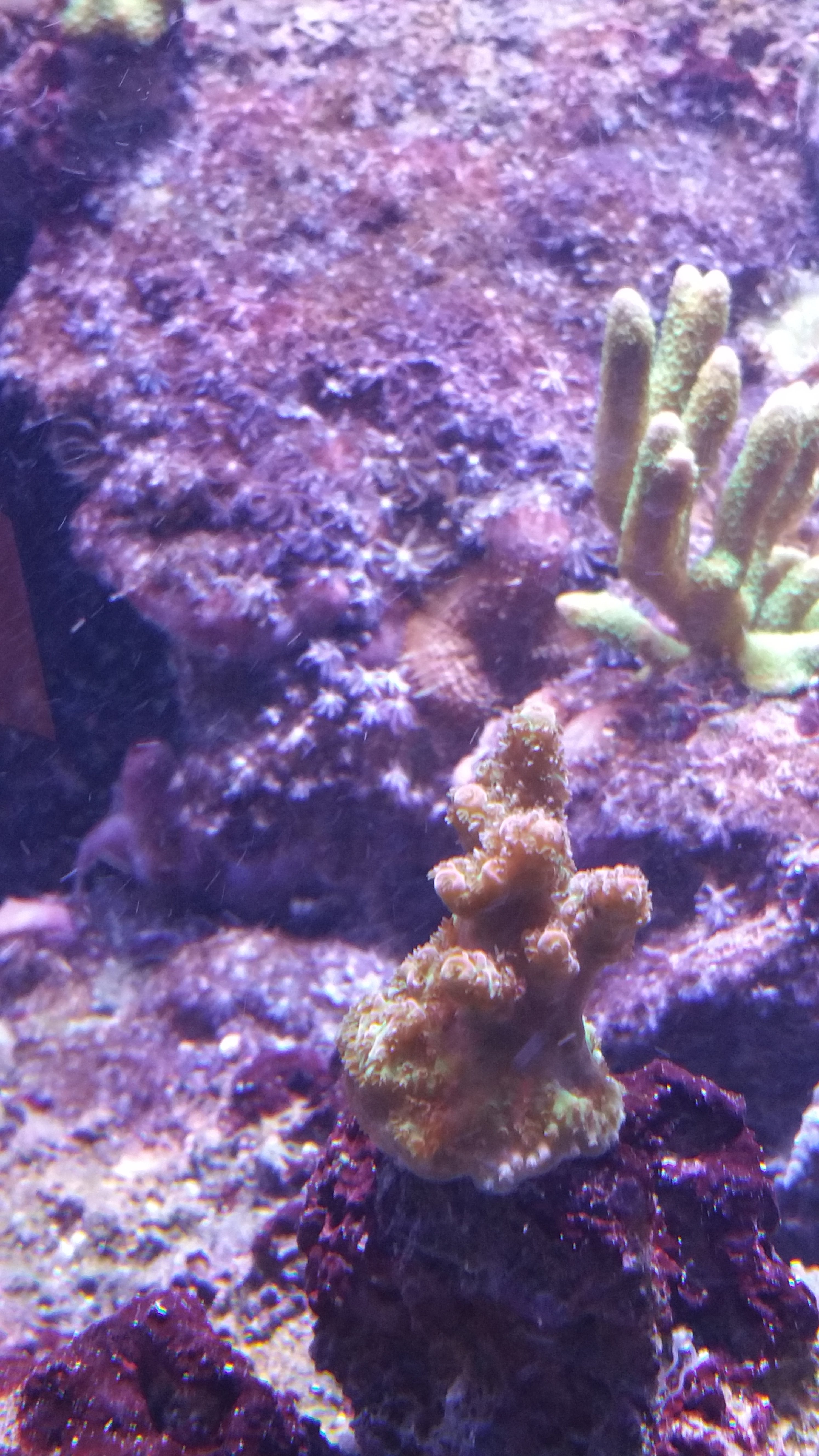 20160906_180443.jpg