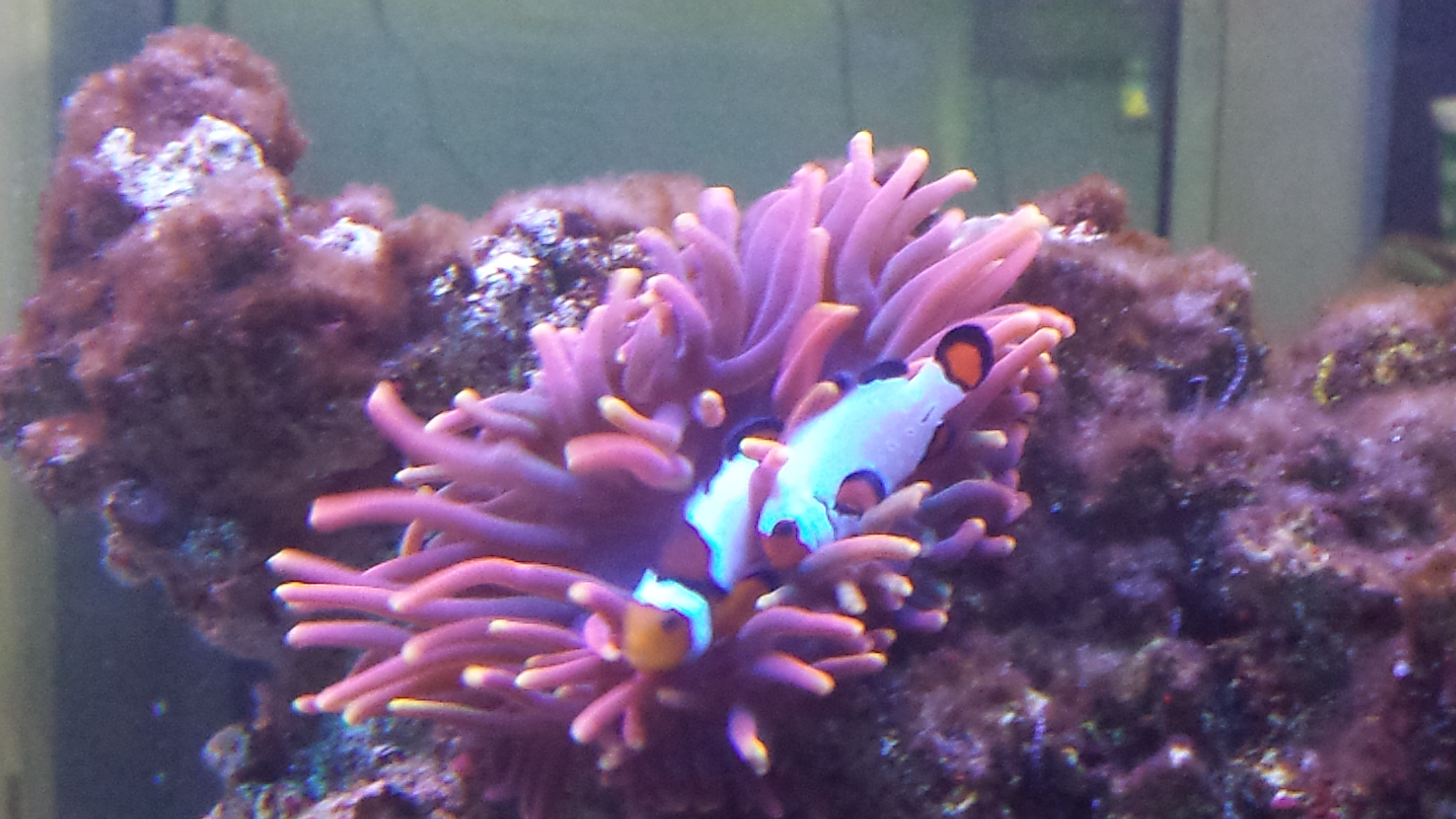 20160930_144146.jpg
