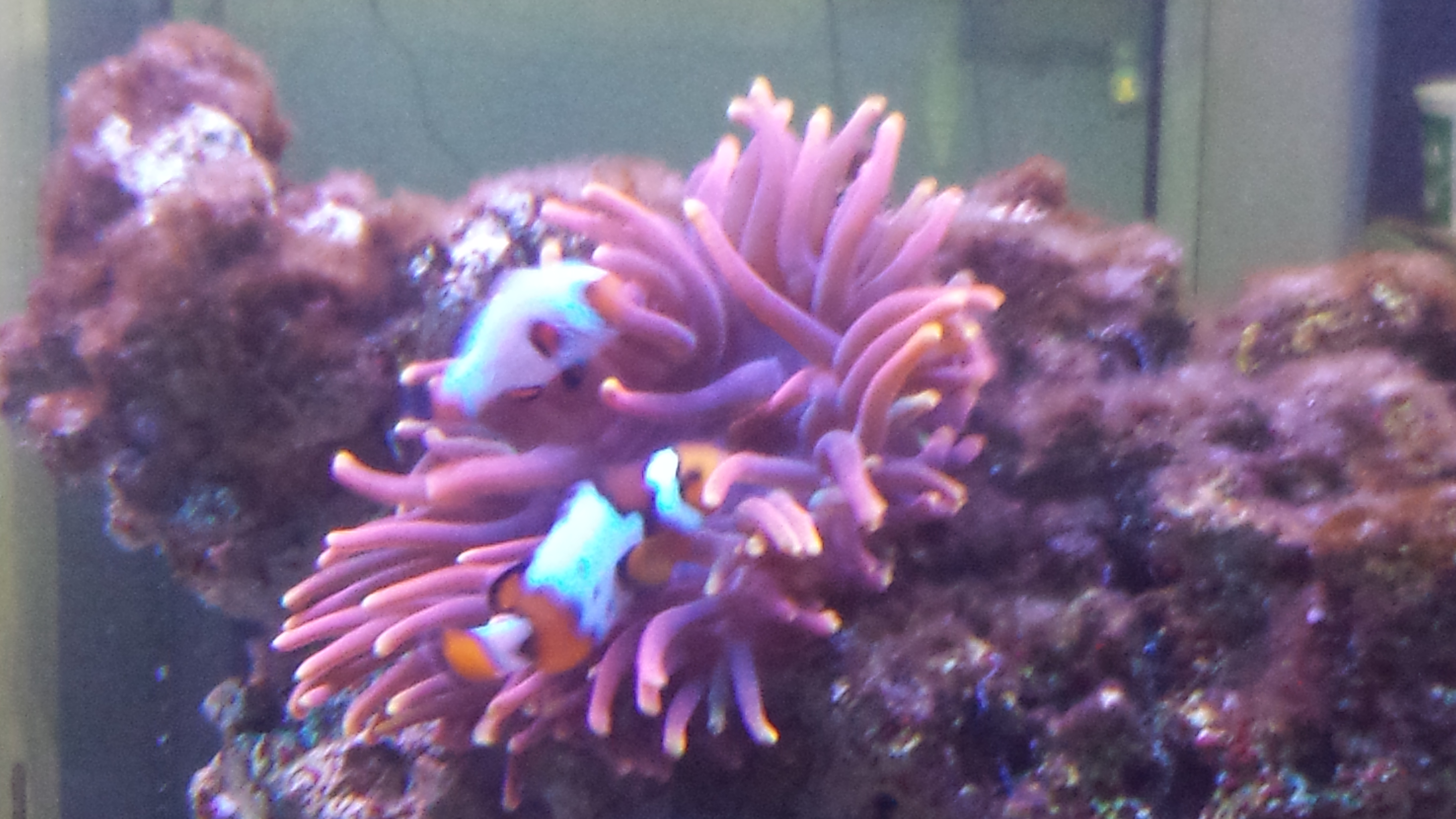 20160930_144151.jpg