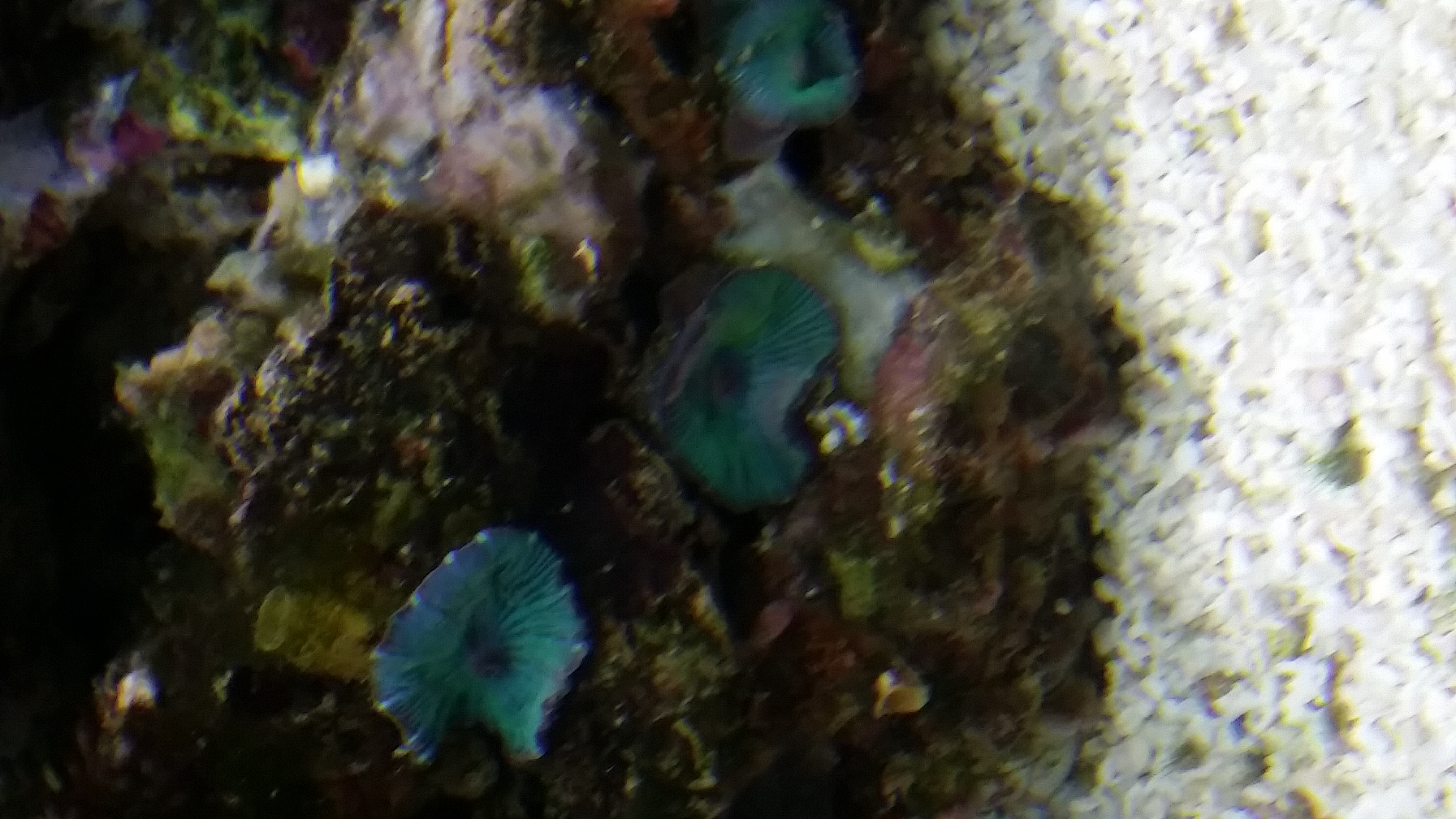 20161001_154233.jpg