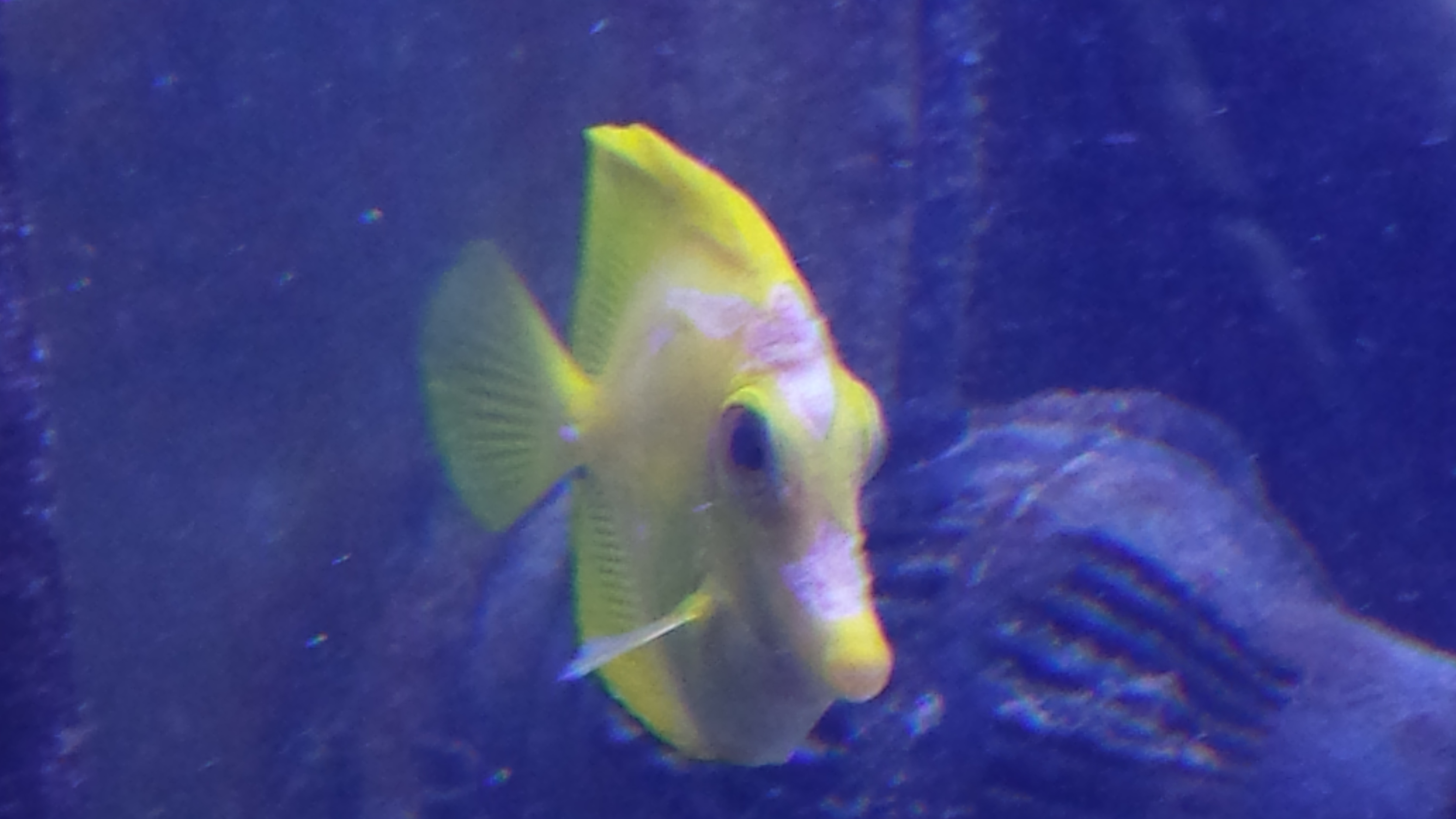 20161019_164711.jpg