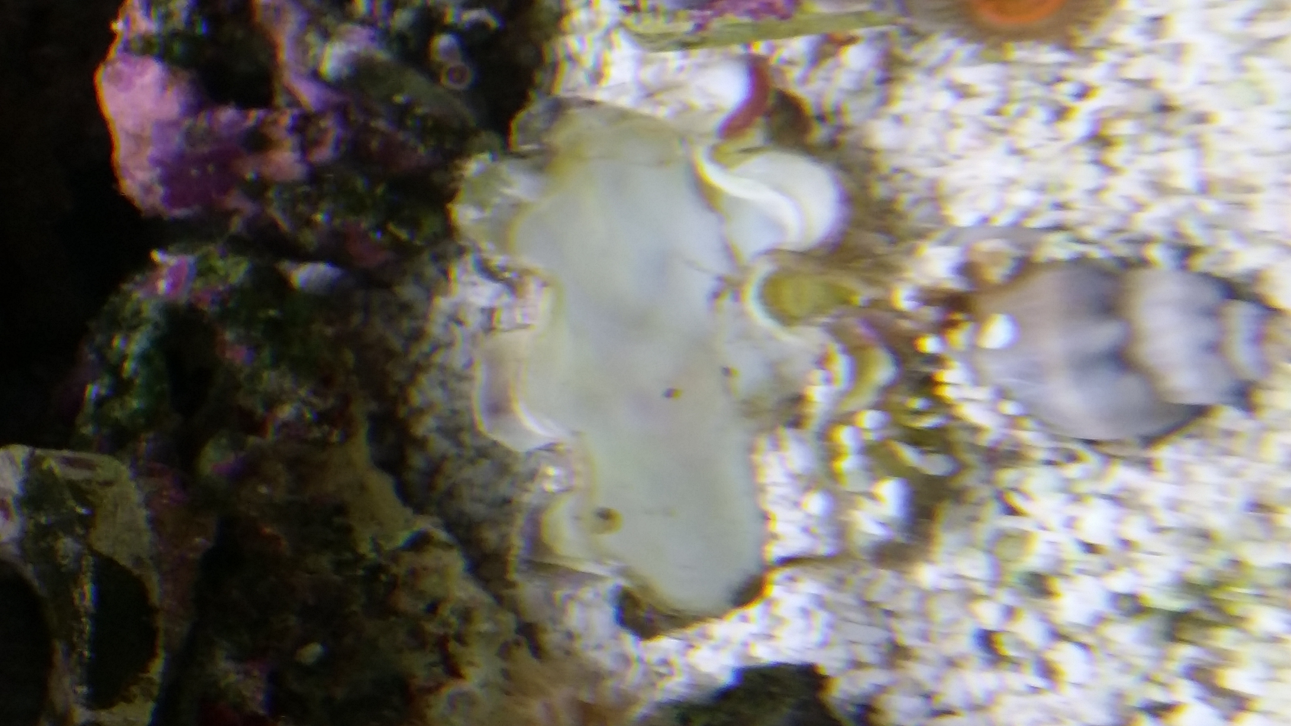 20161101_171305.jpg