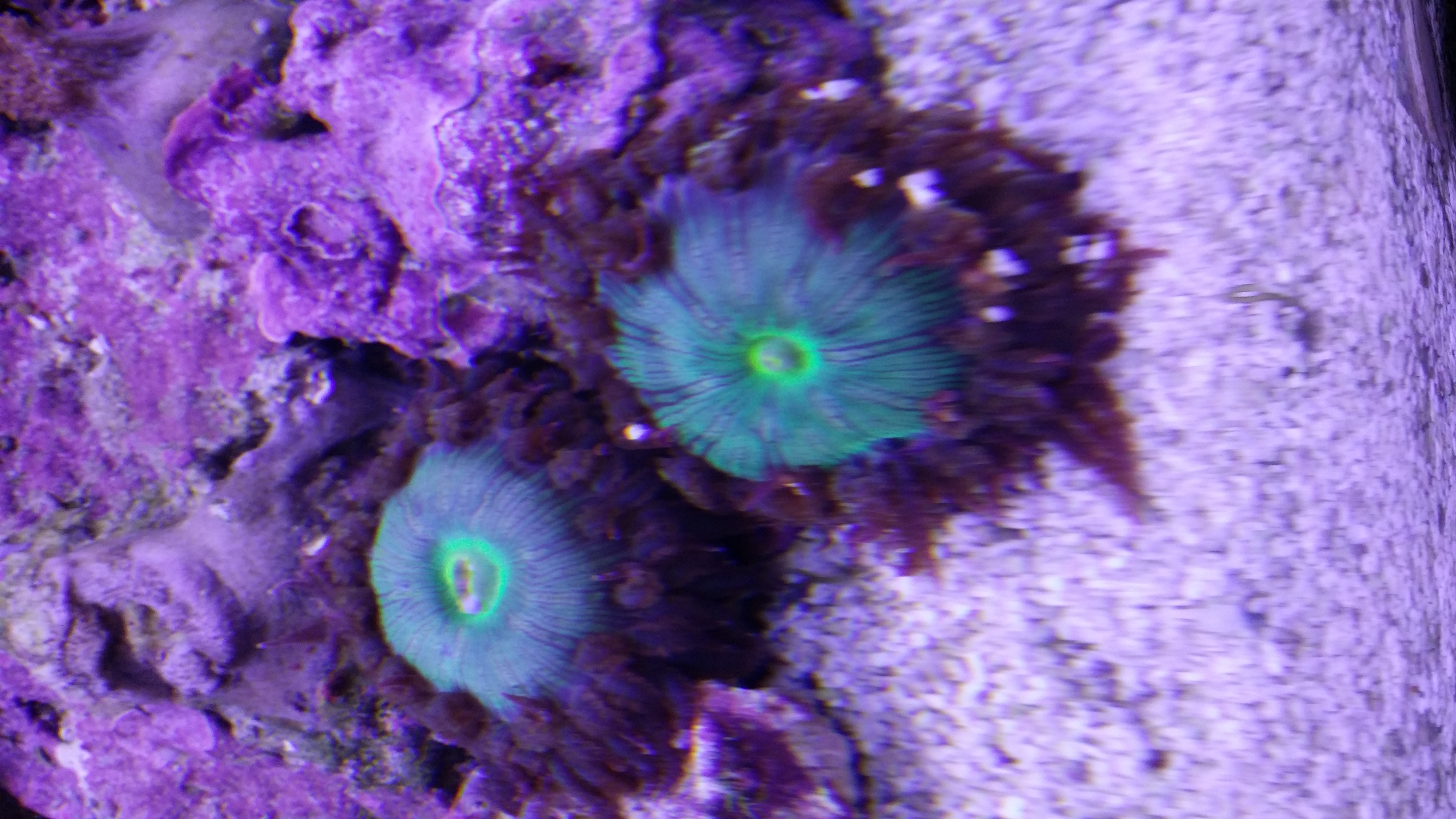 20161121_215438.jpg