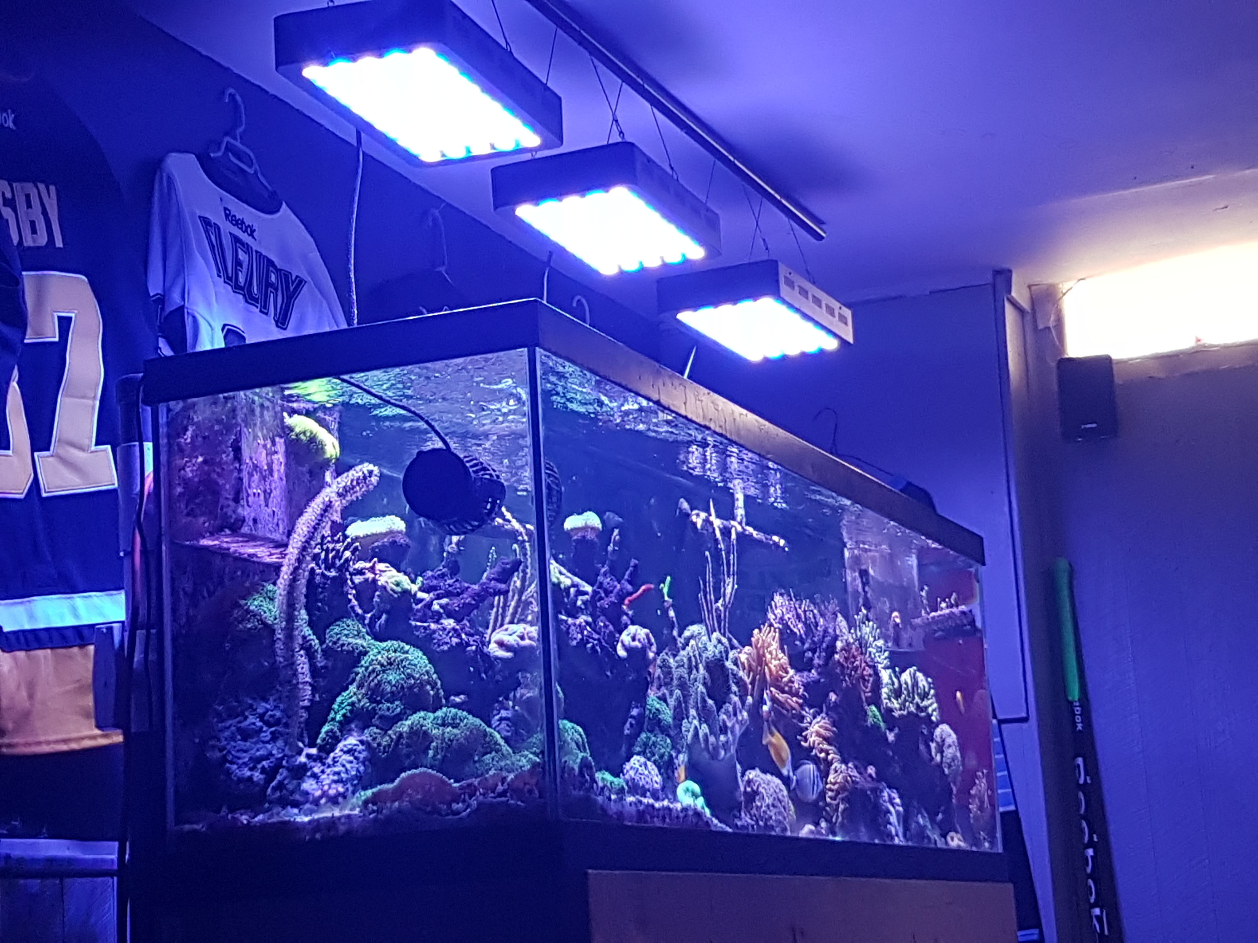 20170305_103054.jpg