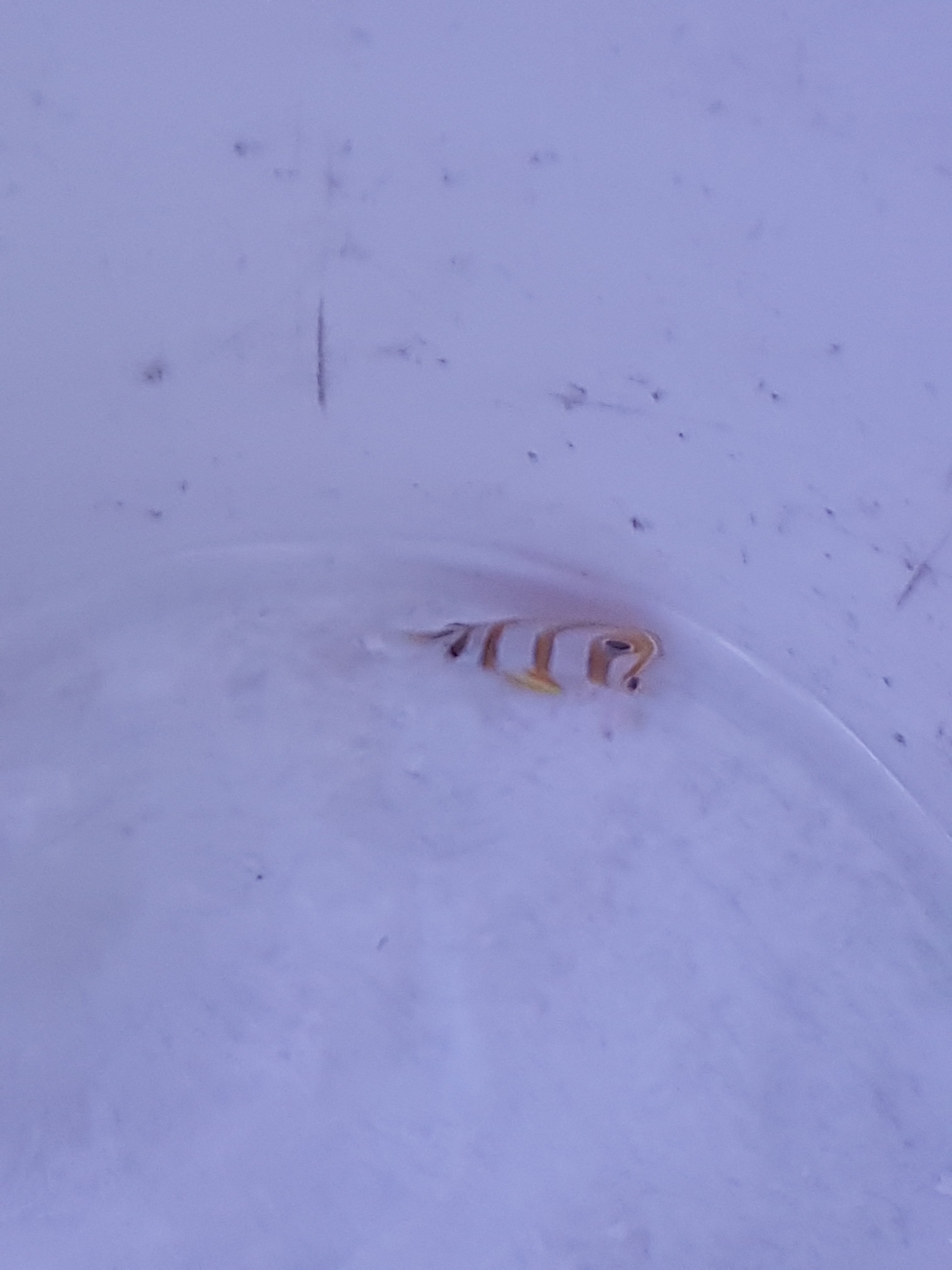 20170326_153451.jpg