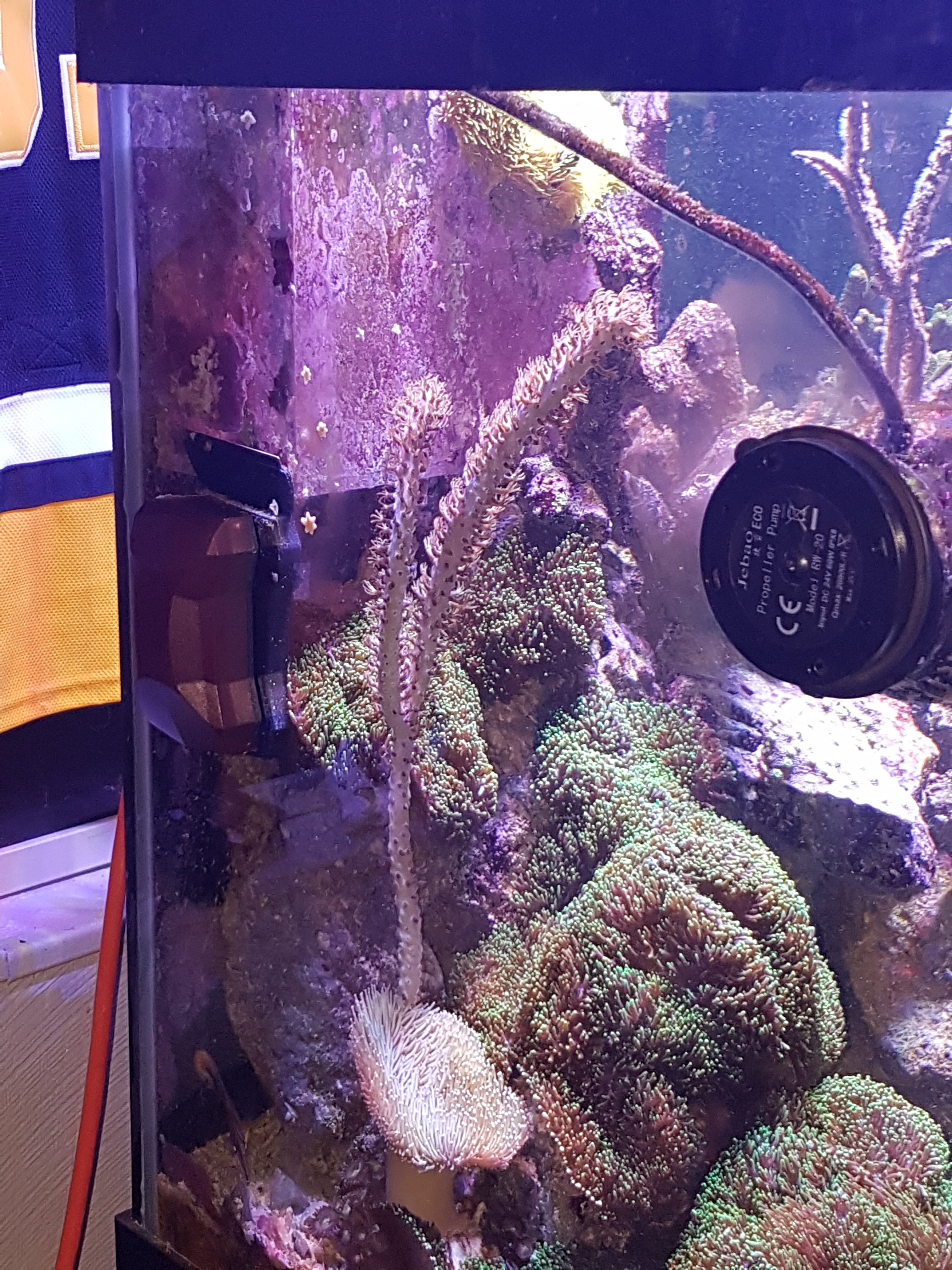 20170423_153020.jpg
