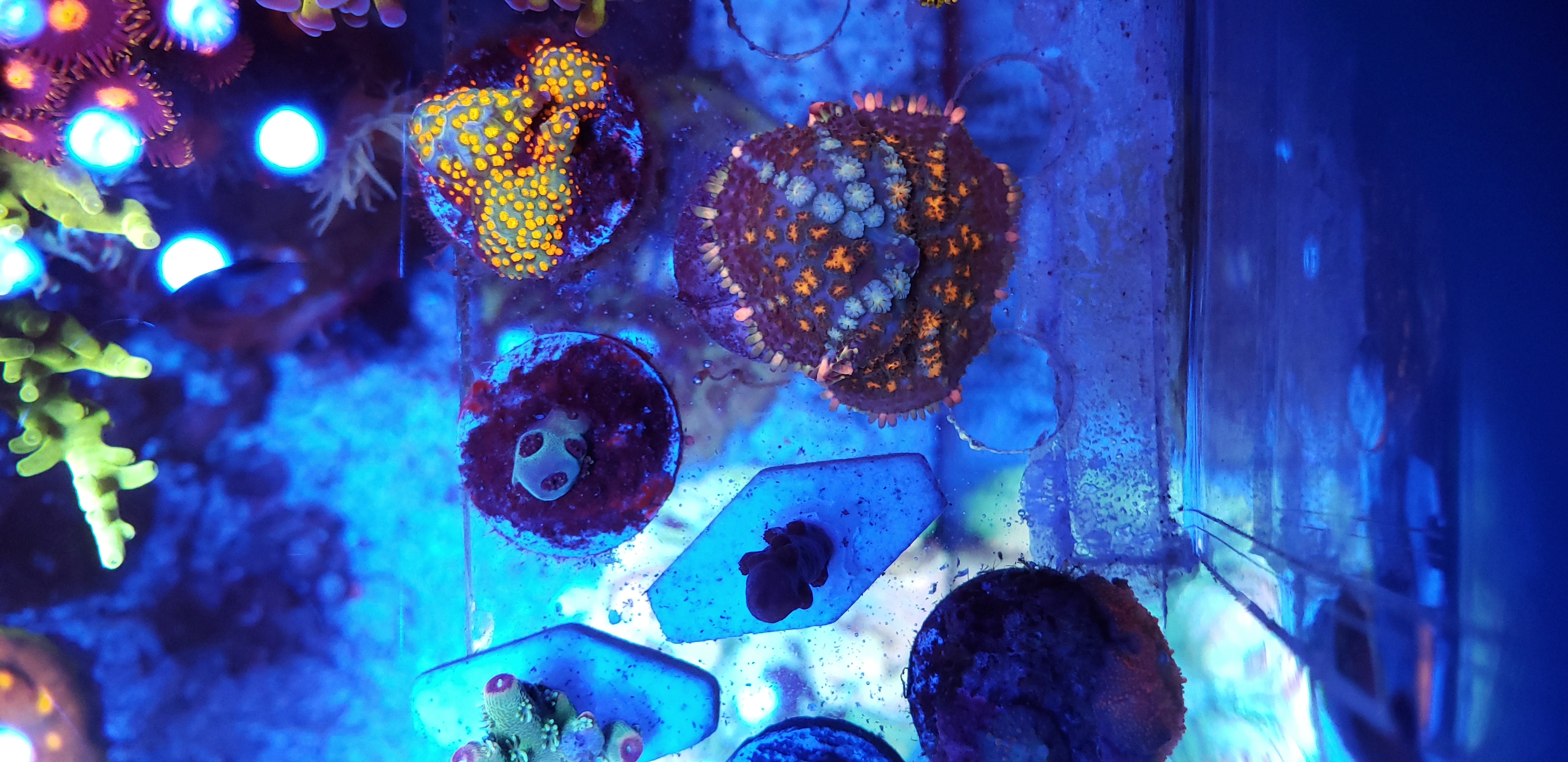 20190609_141257.jpg
