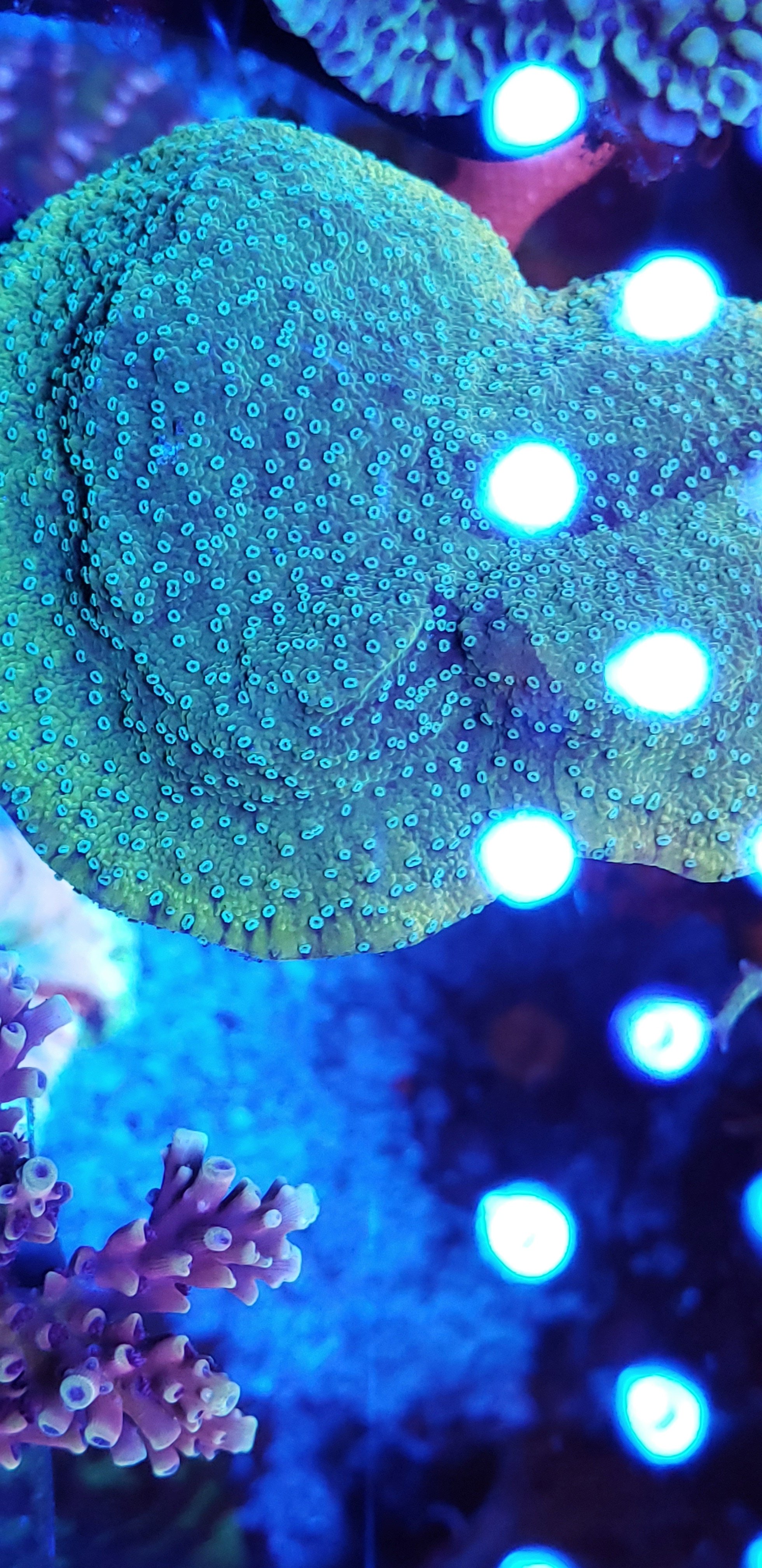 20190609_141531.jpg