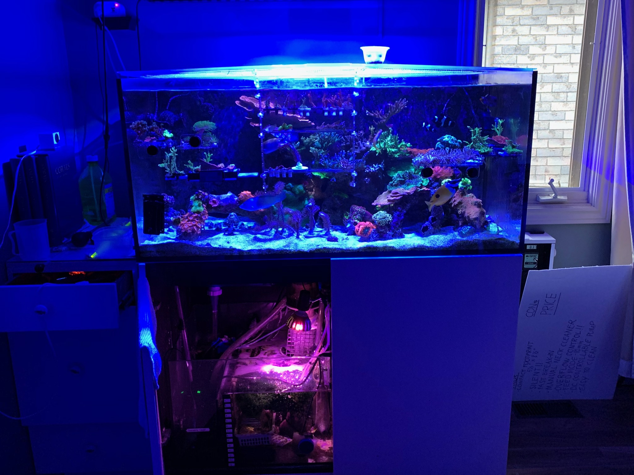 Closed-Inactive - Red Sea Reefer Xl425 Sale | The FragTank.ca