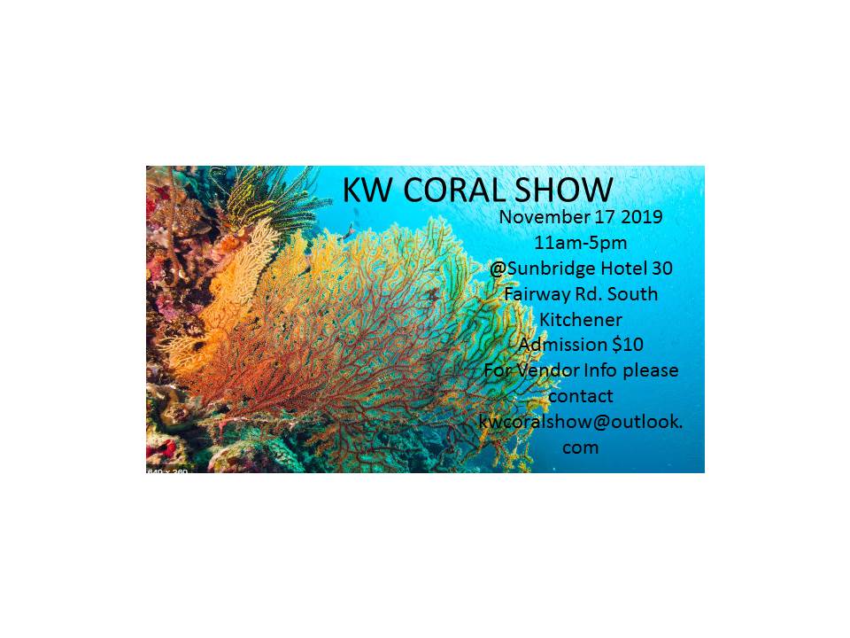 coralshow ad1.jpg