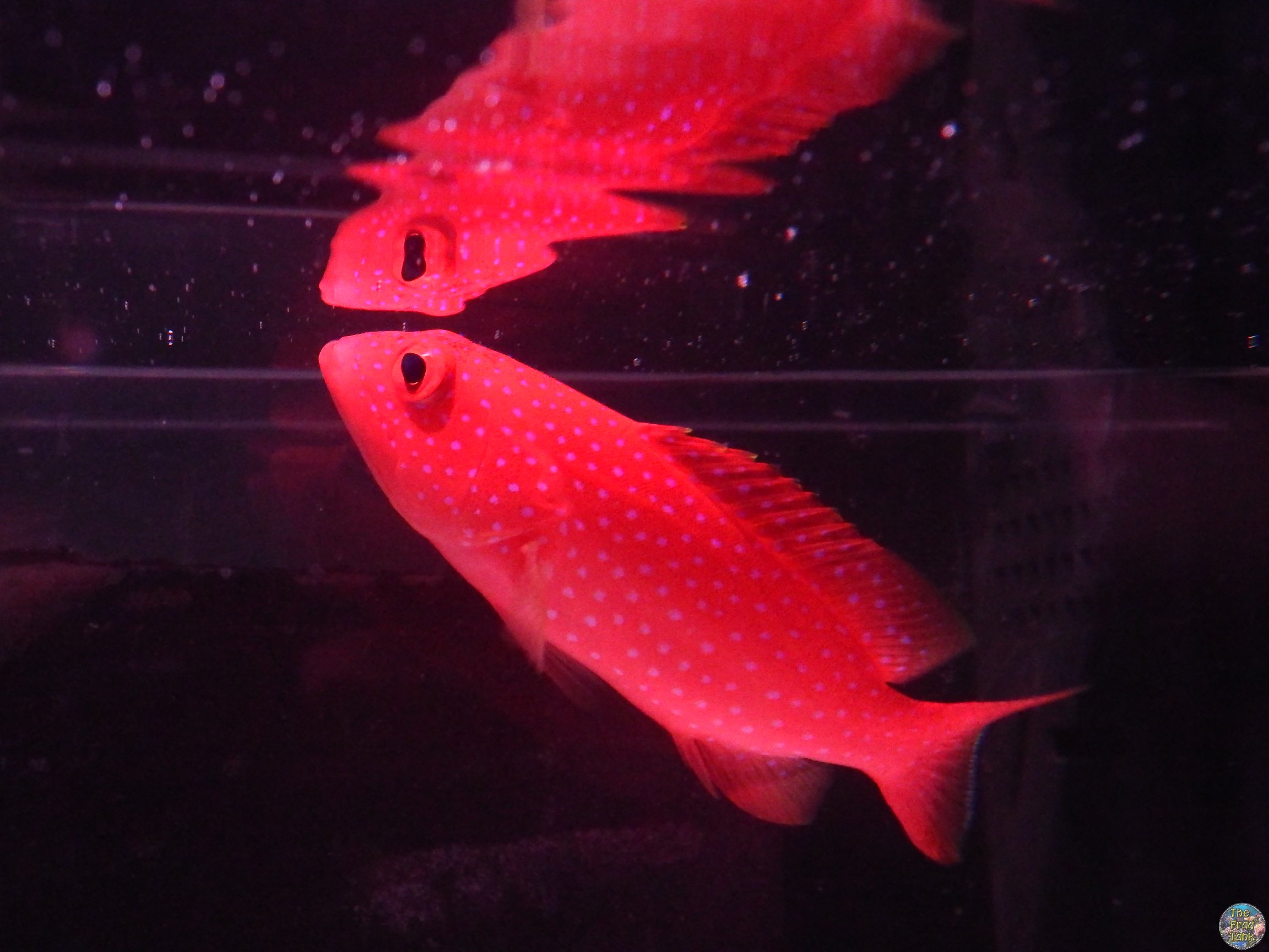 DSCF5381.JPG