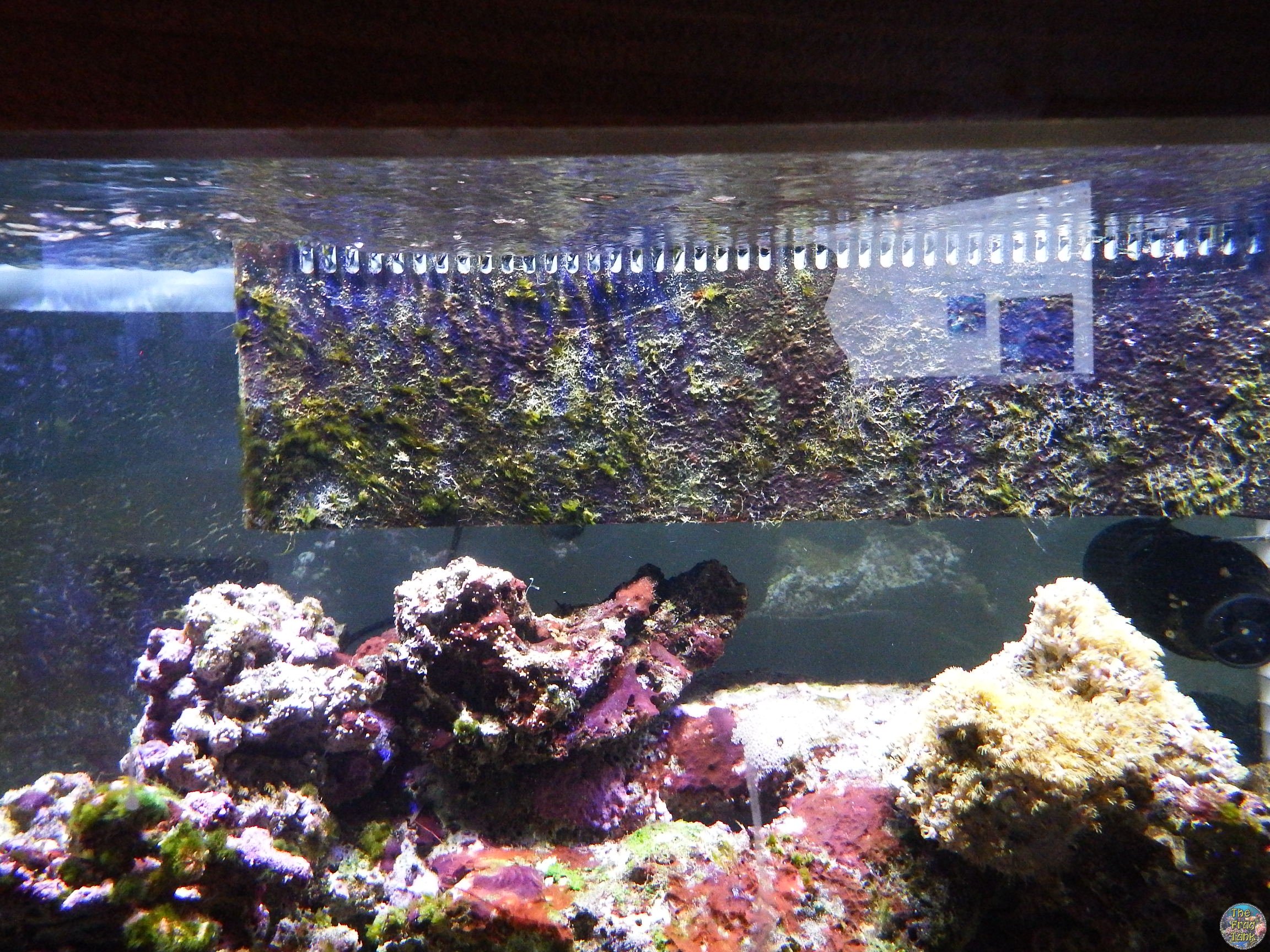DSCF5478.JPG