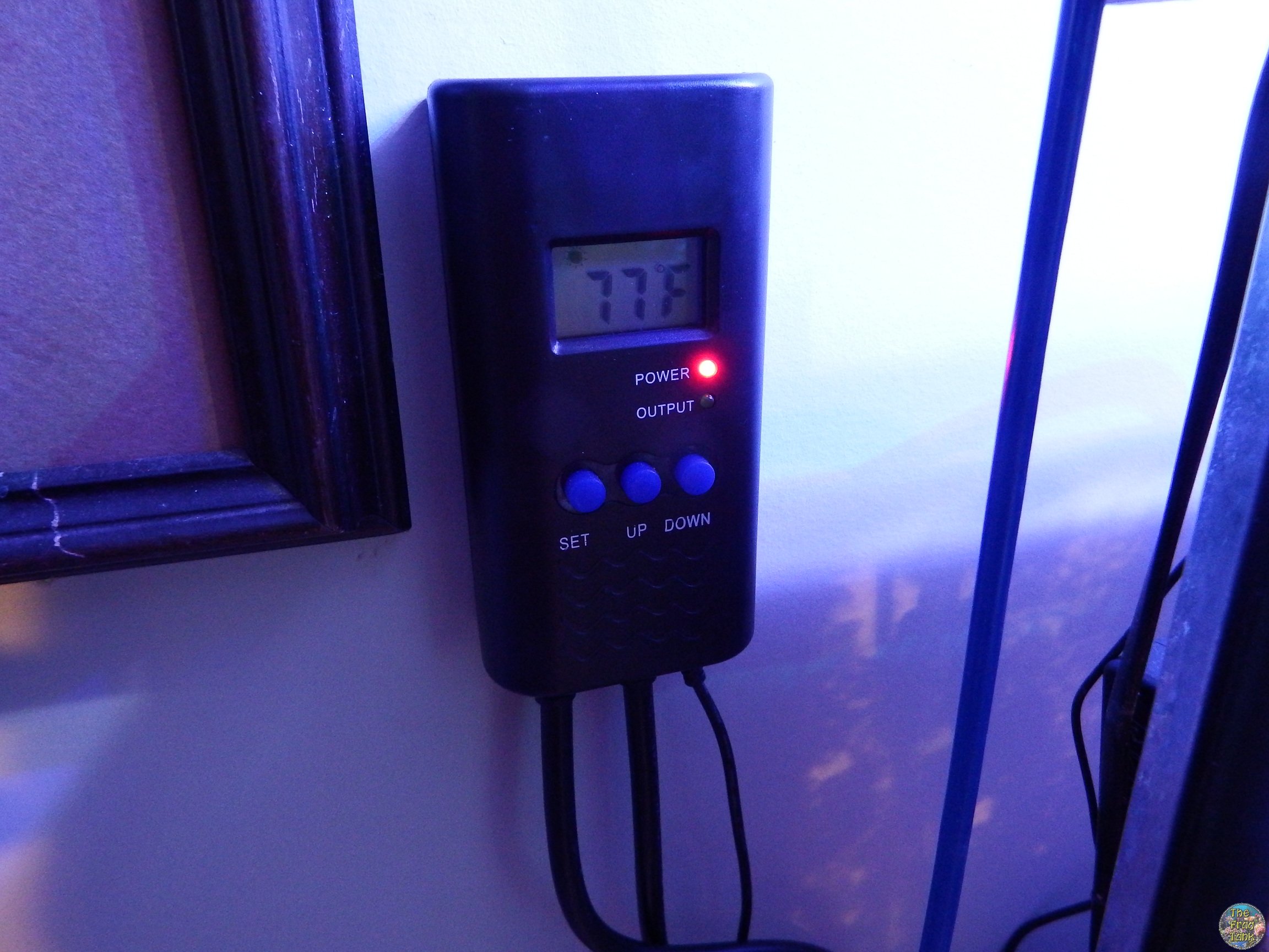 DSCF5484.JPG