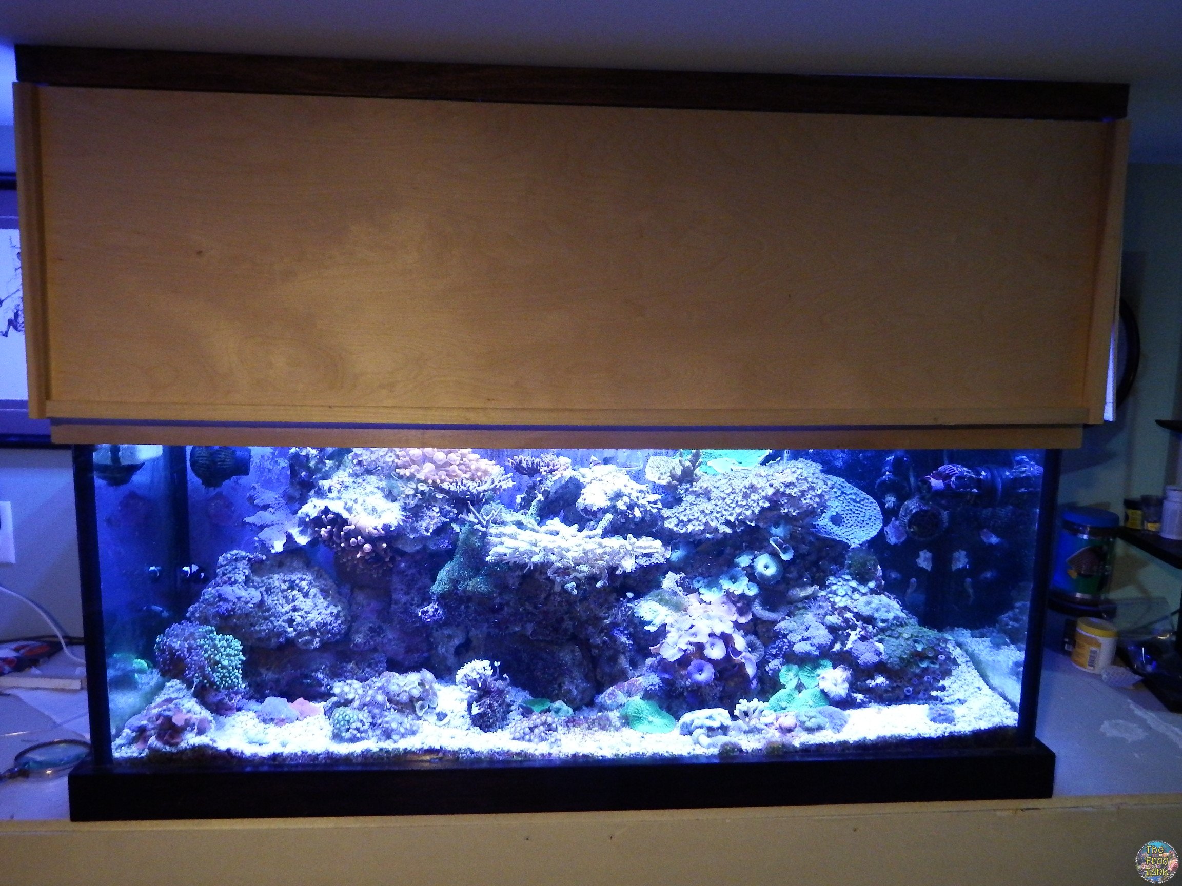 DSCF5485.JPG
