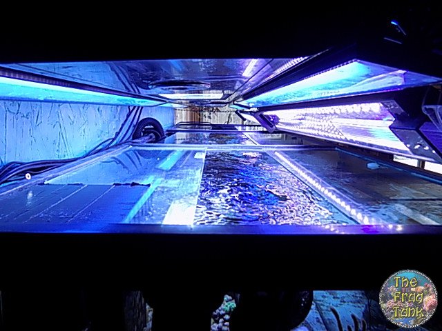 DSCN2407.JPG