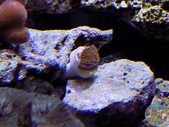 DSCN2455.JPG