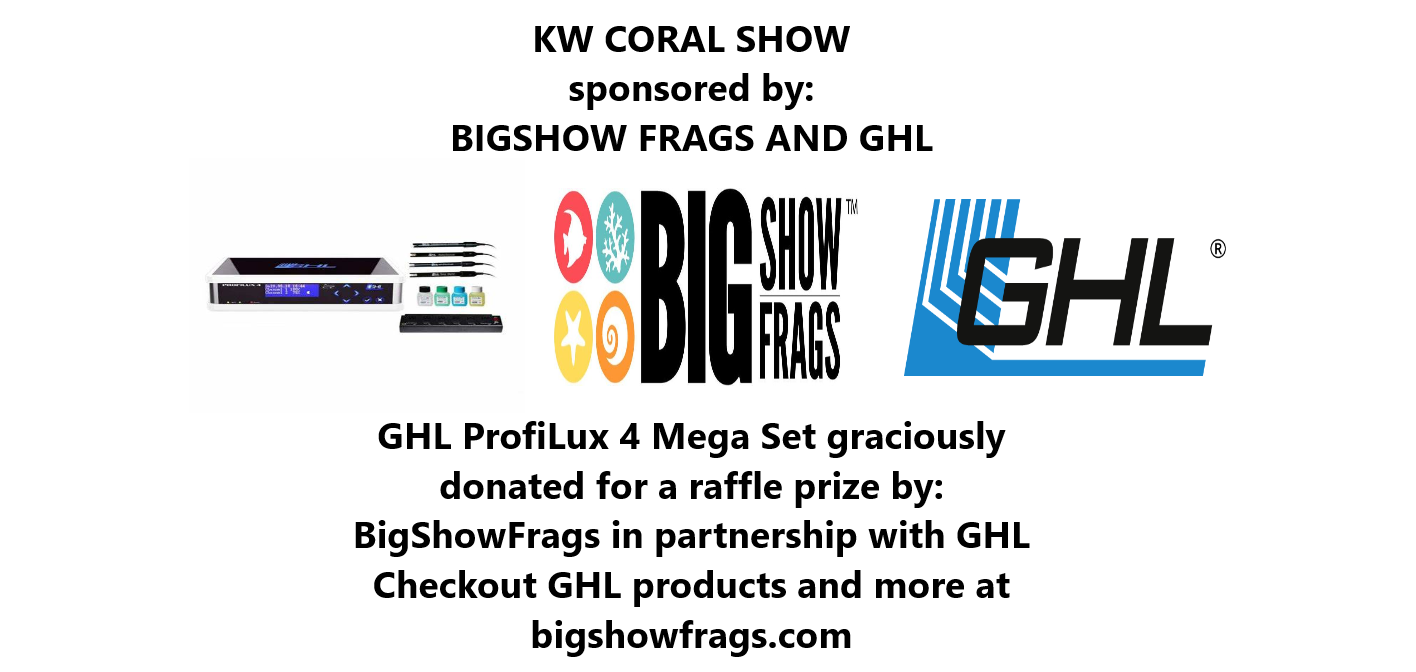 final ghl bigshow ad.png