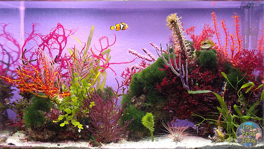 fts.jpg