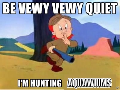 Hunting Aquariums.jpg
