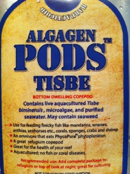 ImageUploadedByTapatalk1419455384.896909.jpg