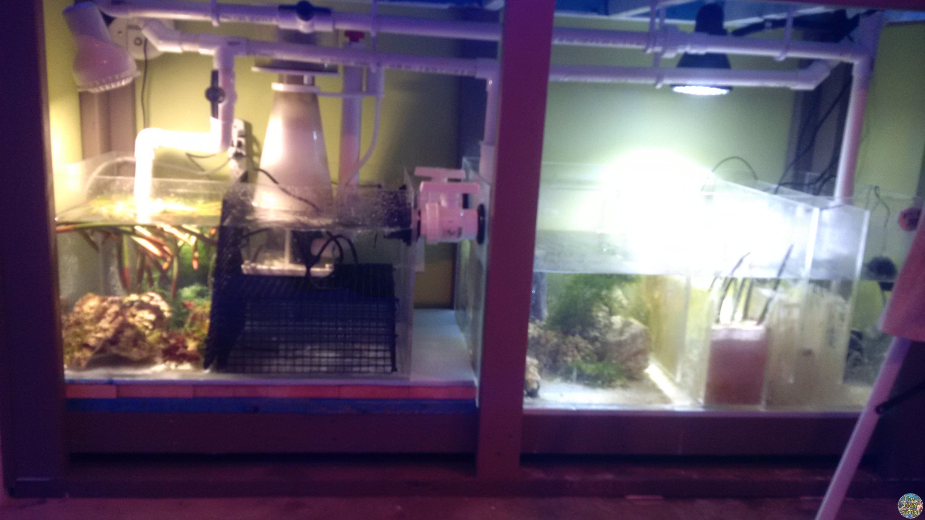 IMG_20150217_180354.jpg