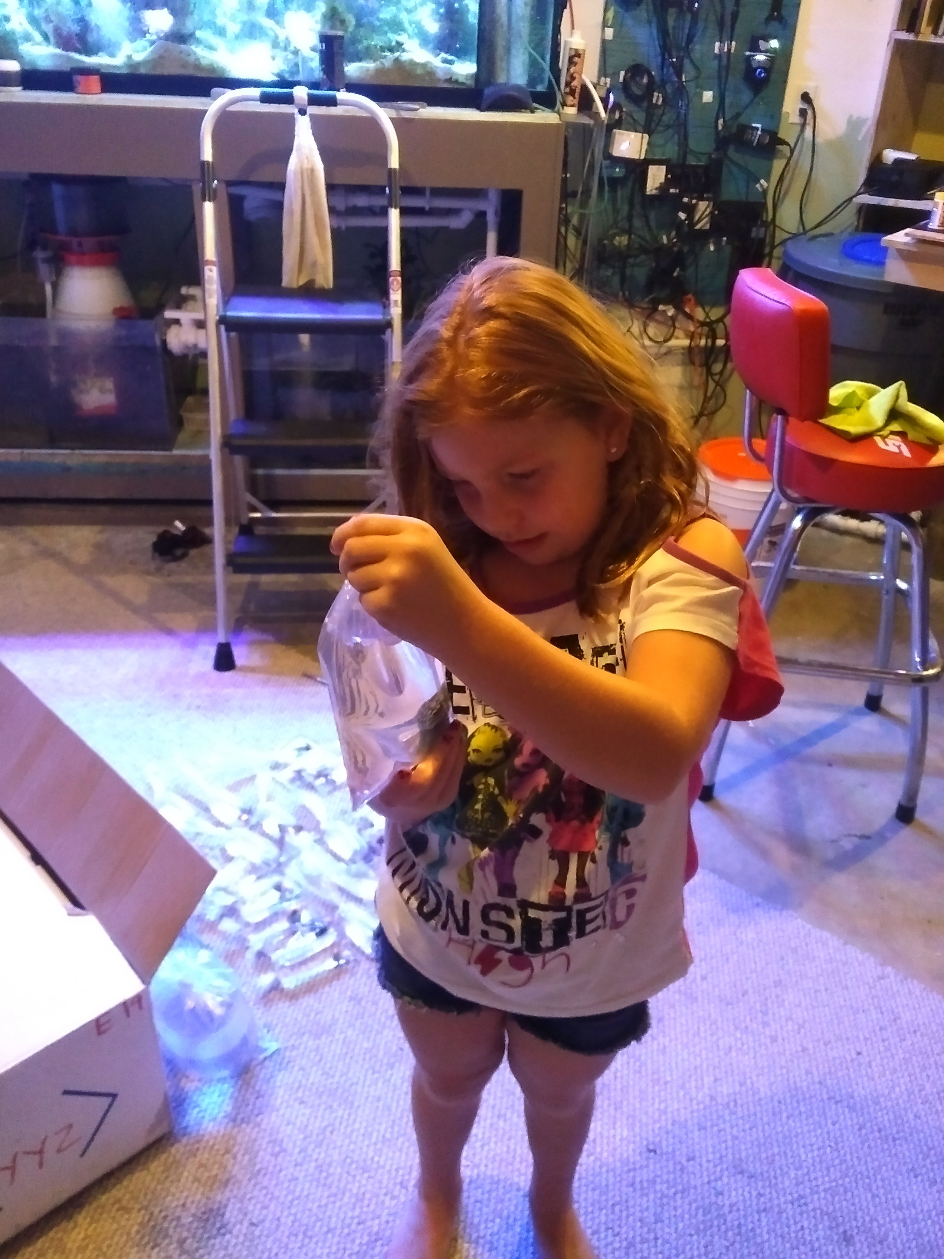 IMG_20160910_1806502.jpg
