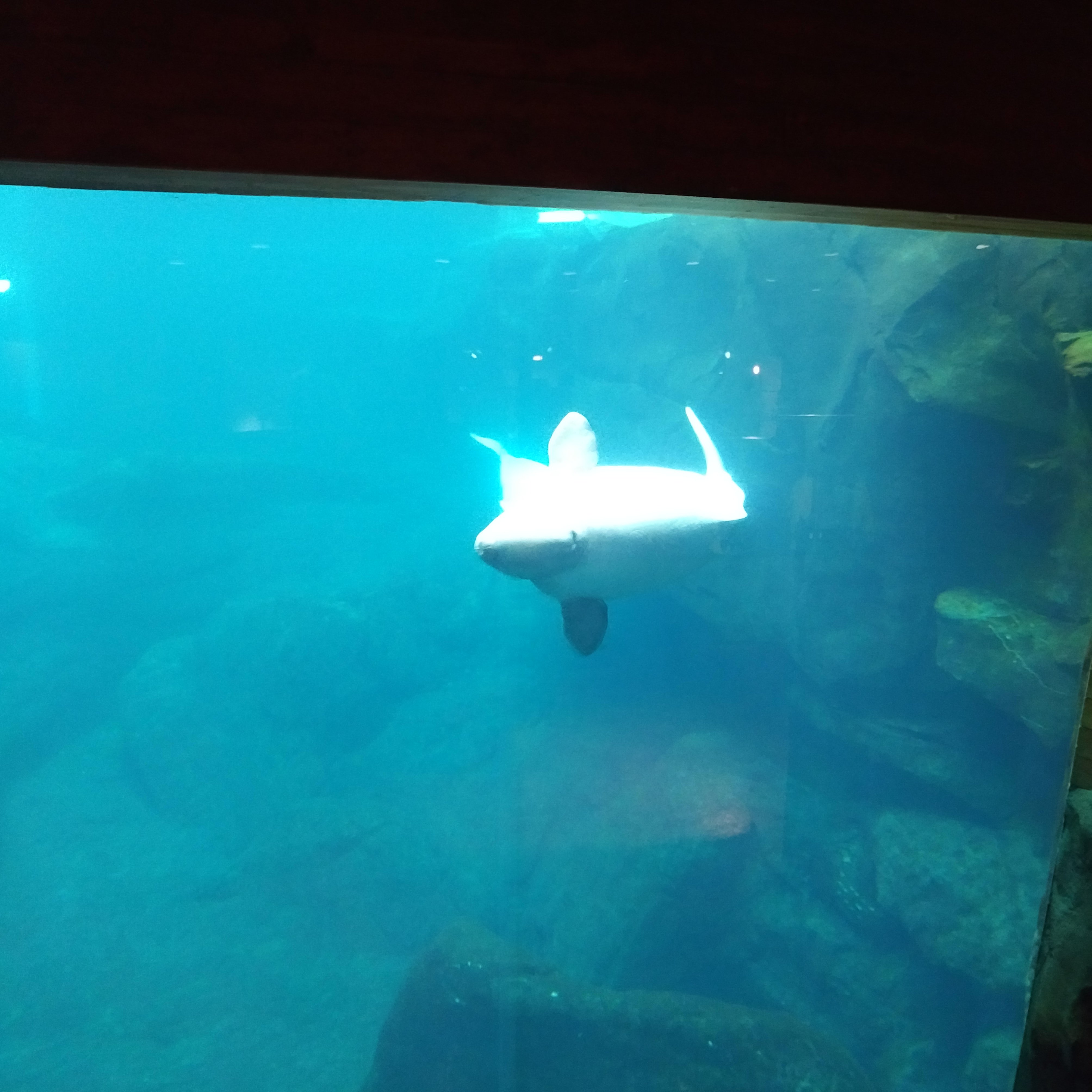 IMG_20161102_1601482.jpg