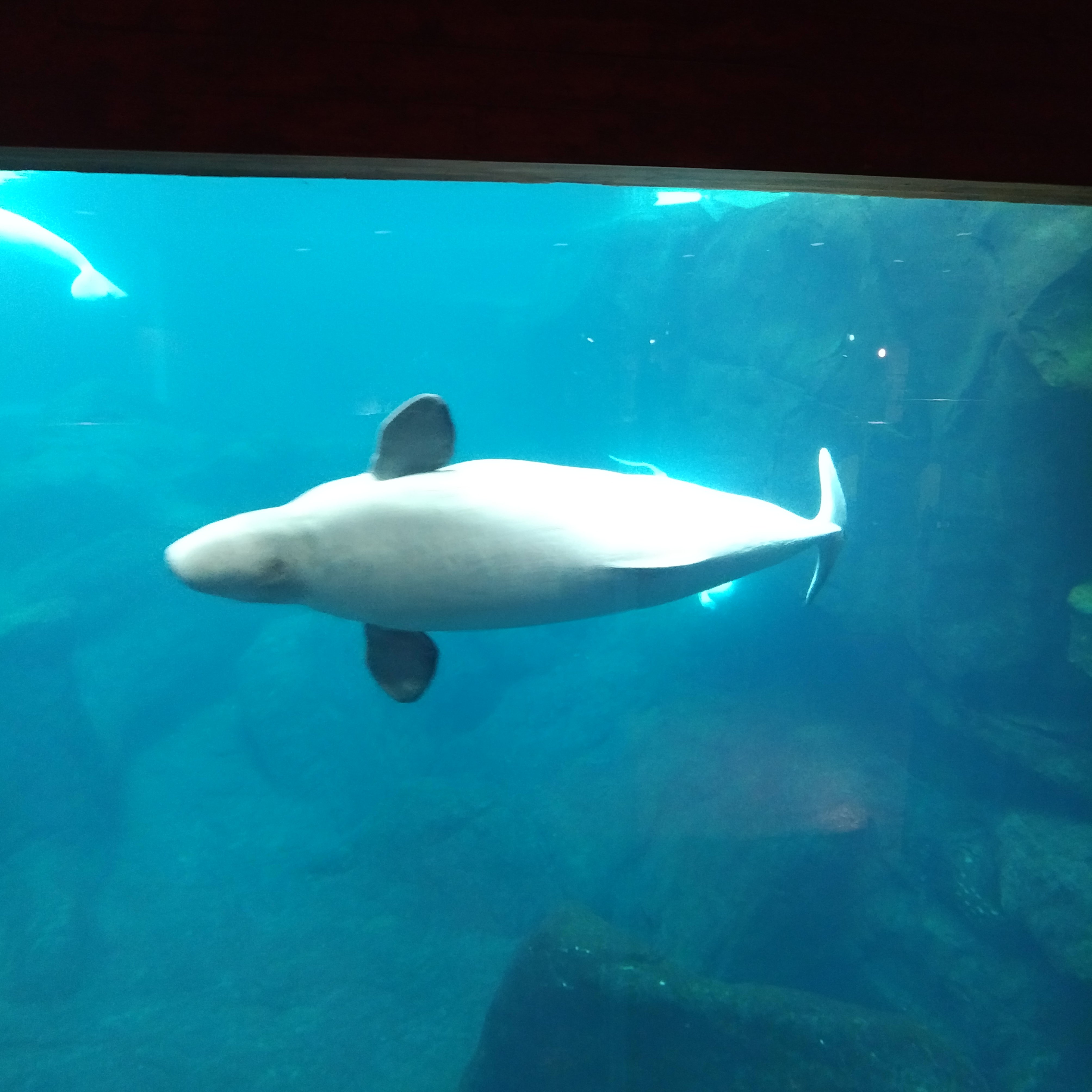 IMG_20161102_1601500.jpg